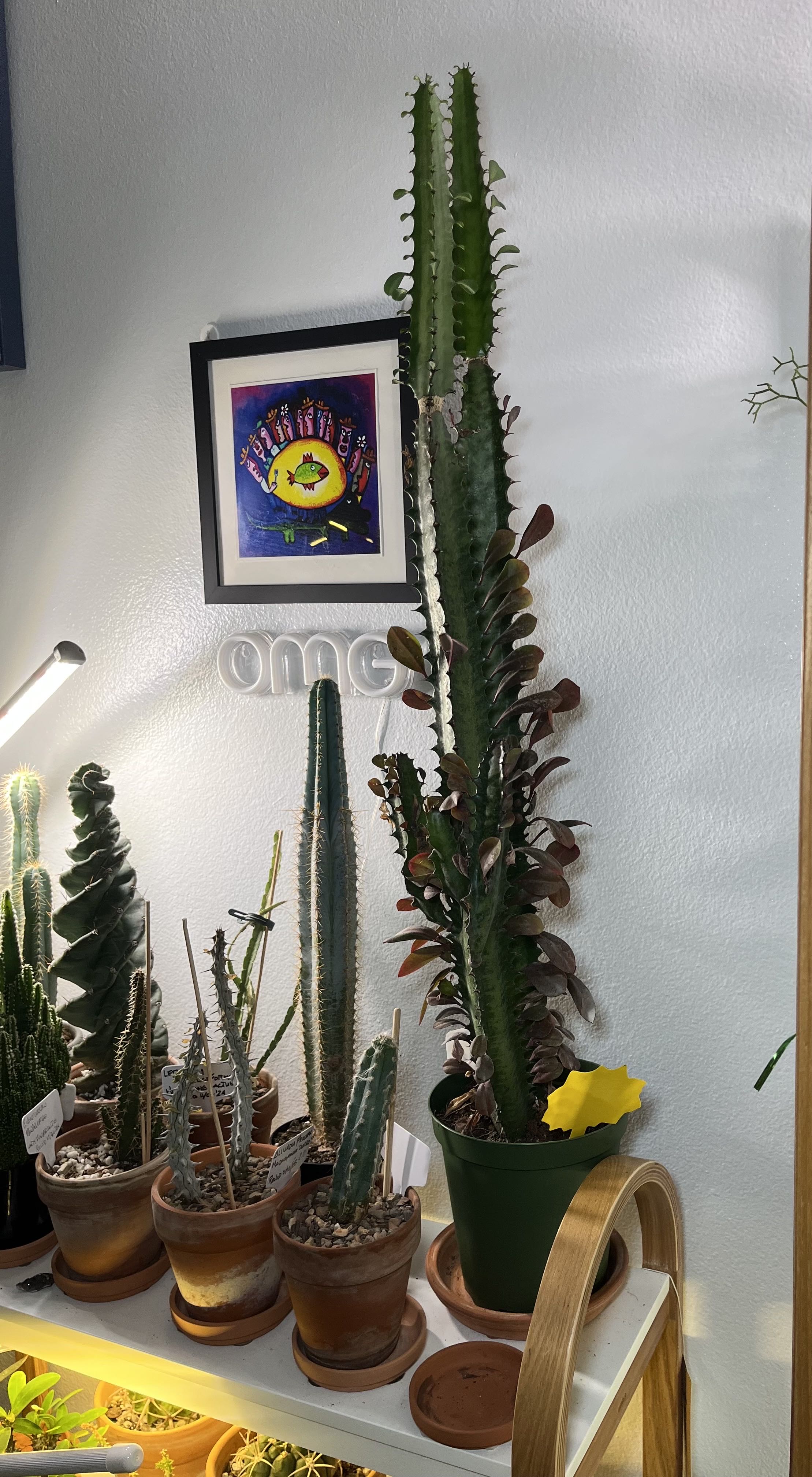 Photo from the post