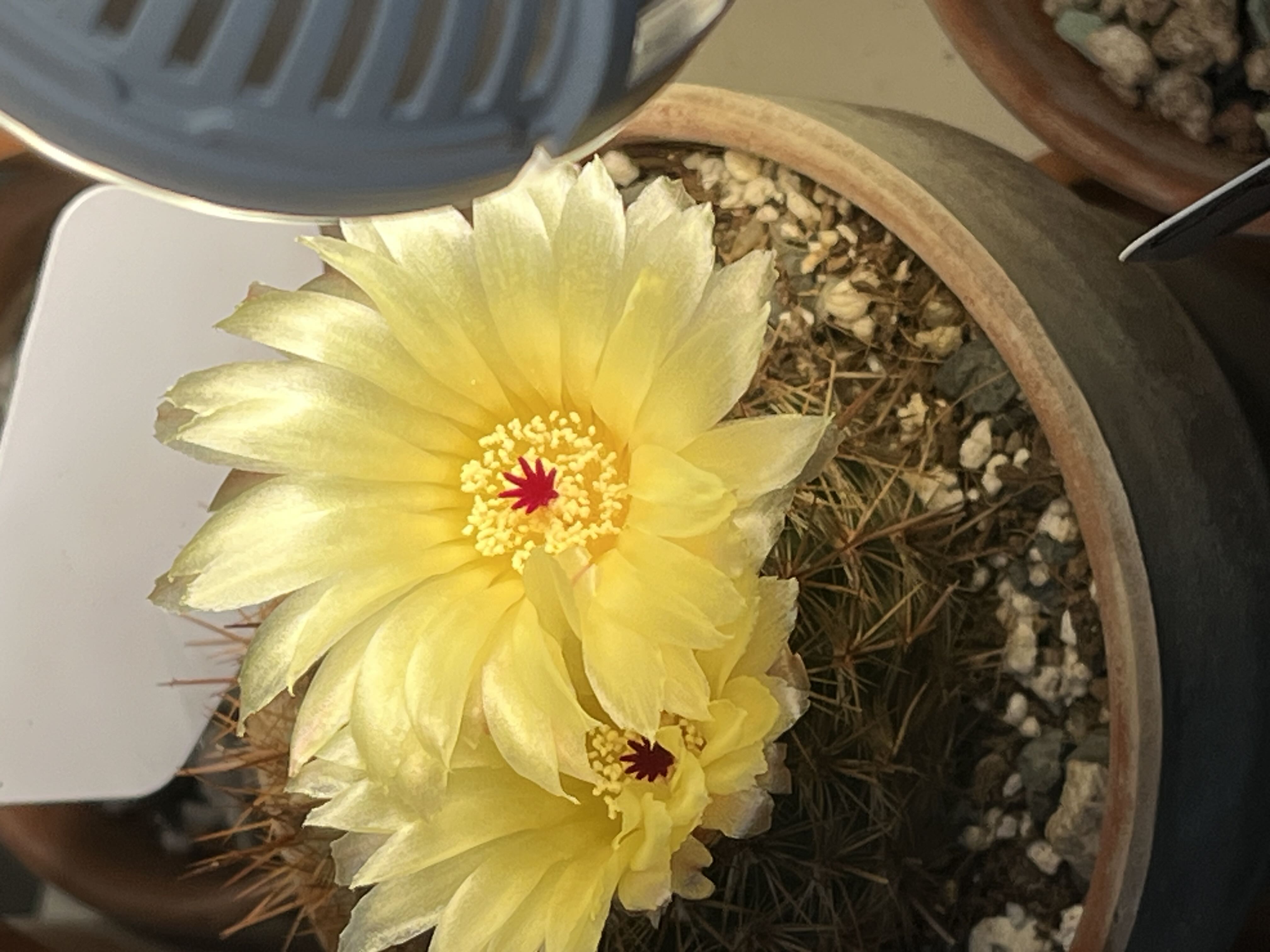 Photo from the post