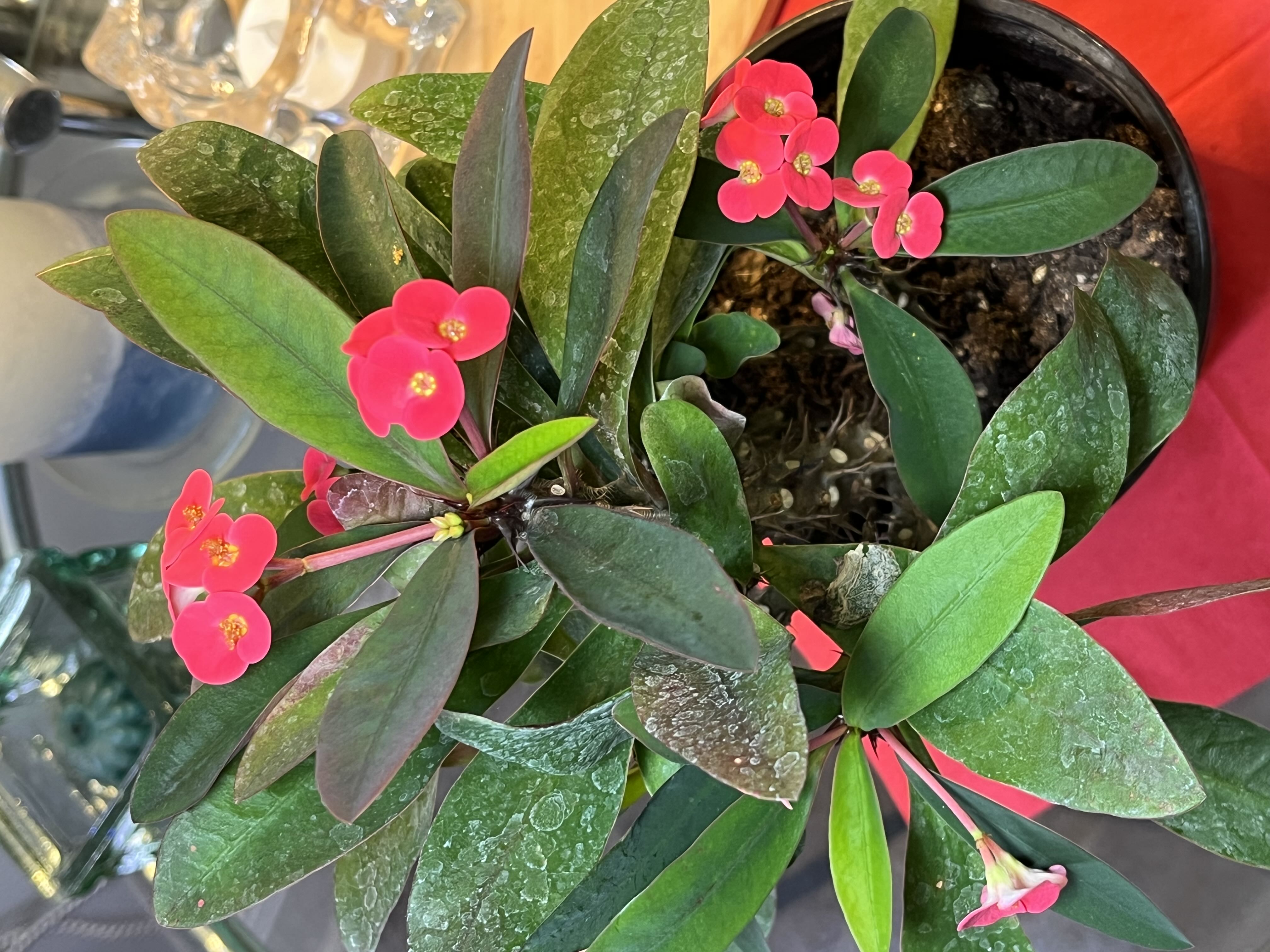 Photo from the post
