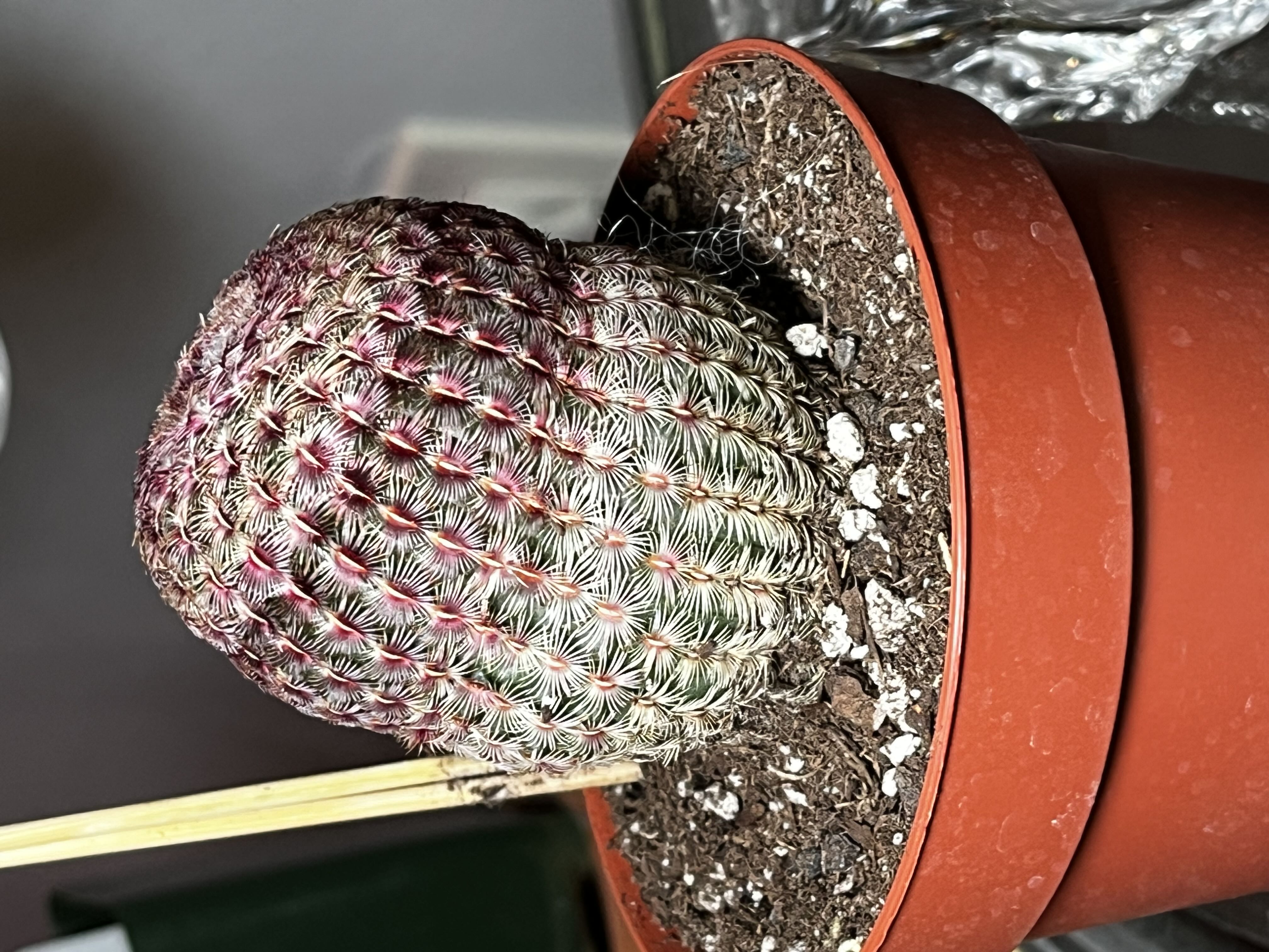 Photo from the post