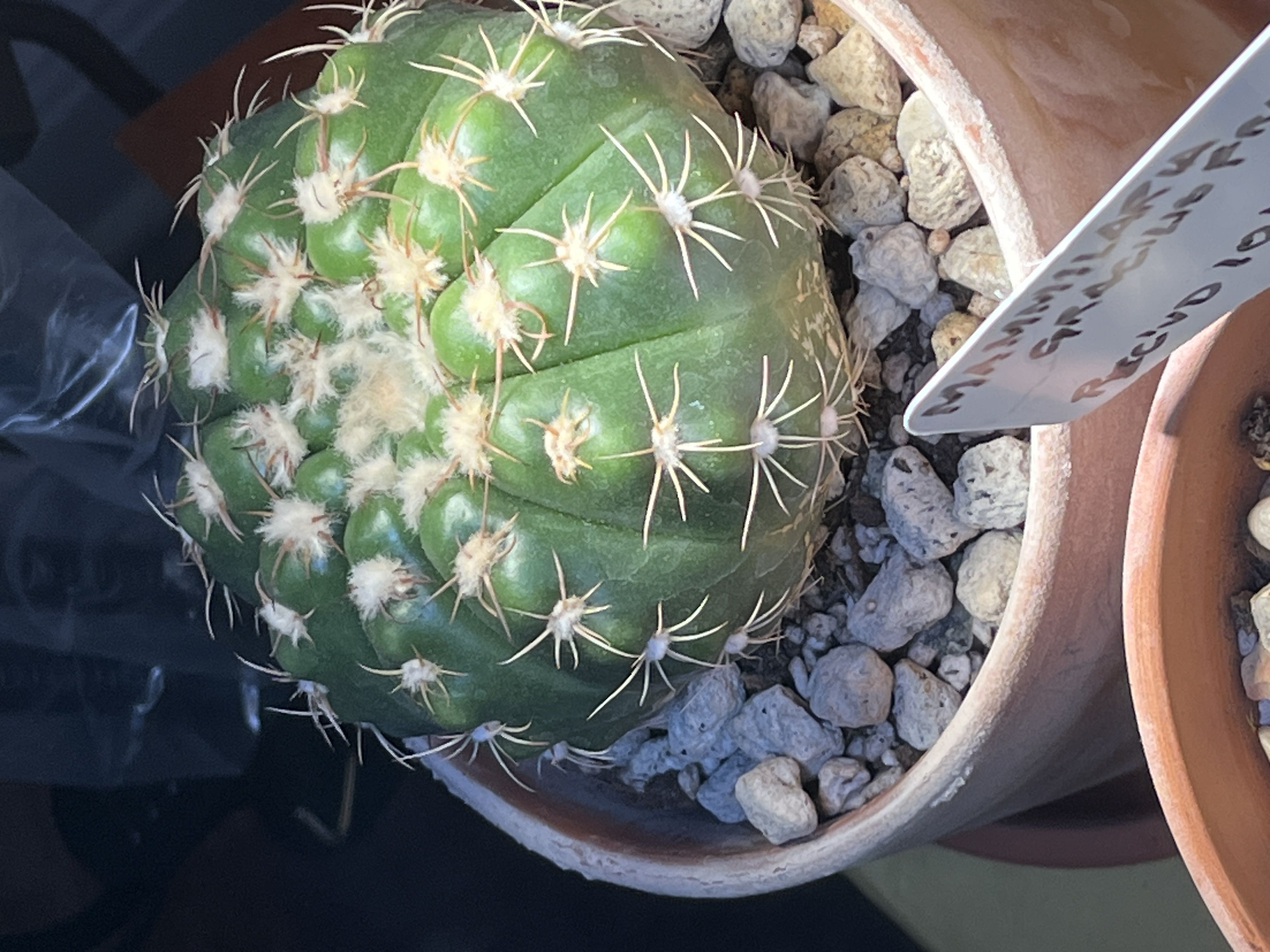 Photo from the post