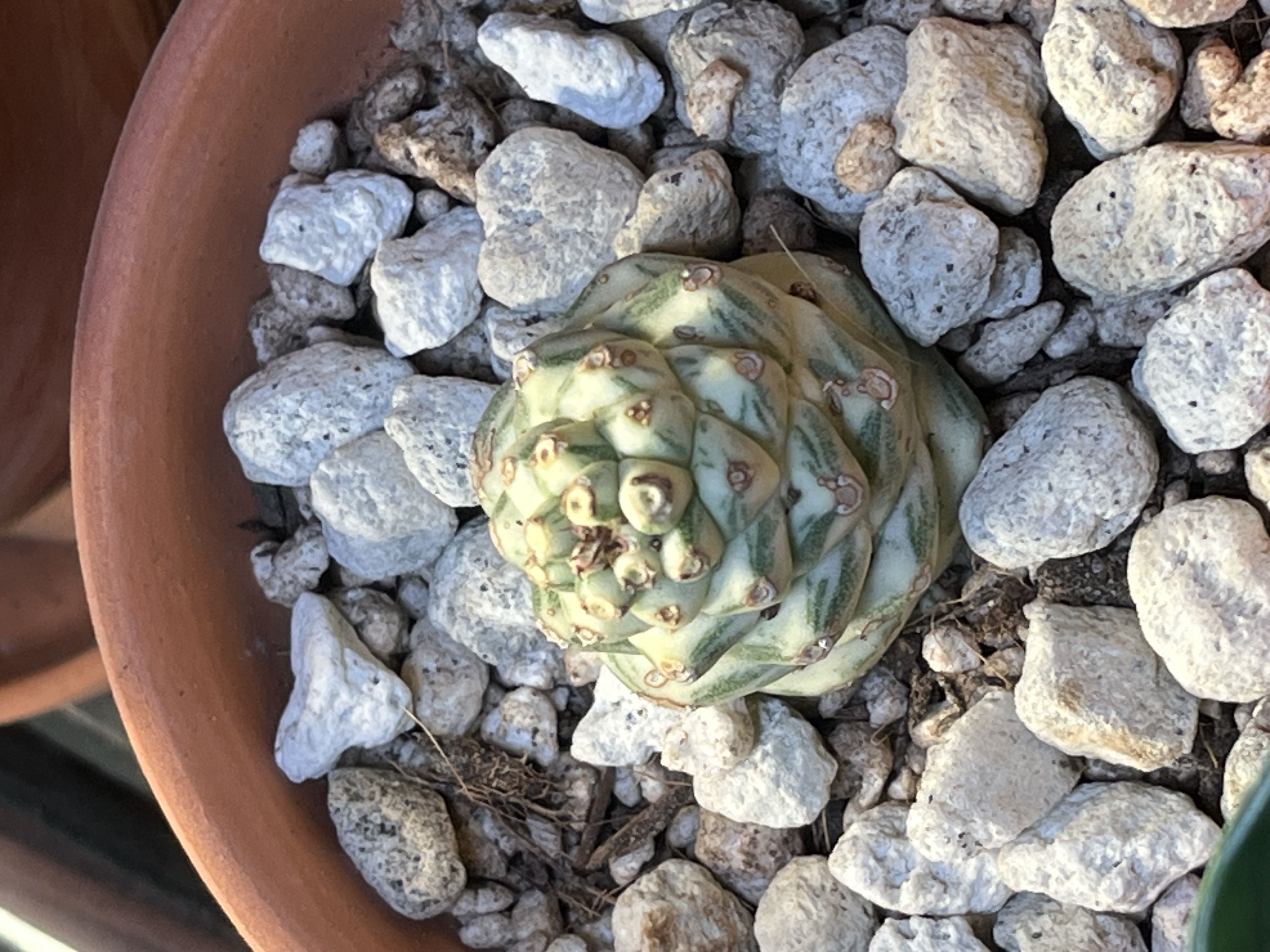 Photo from the post