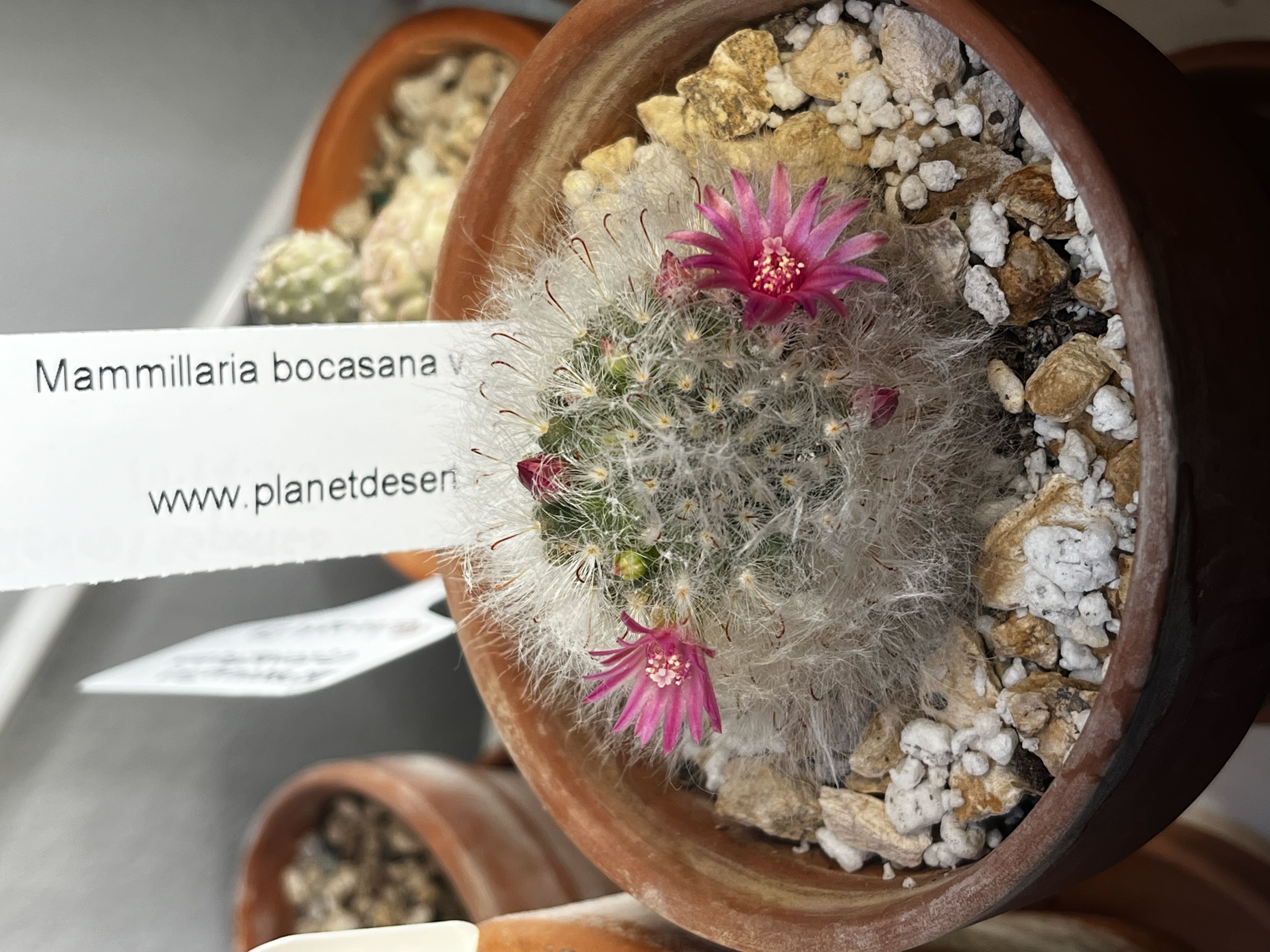 Photo from the post