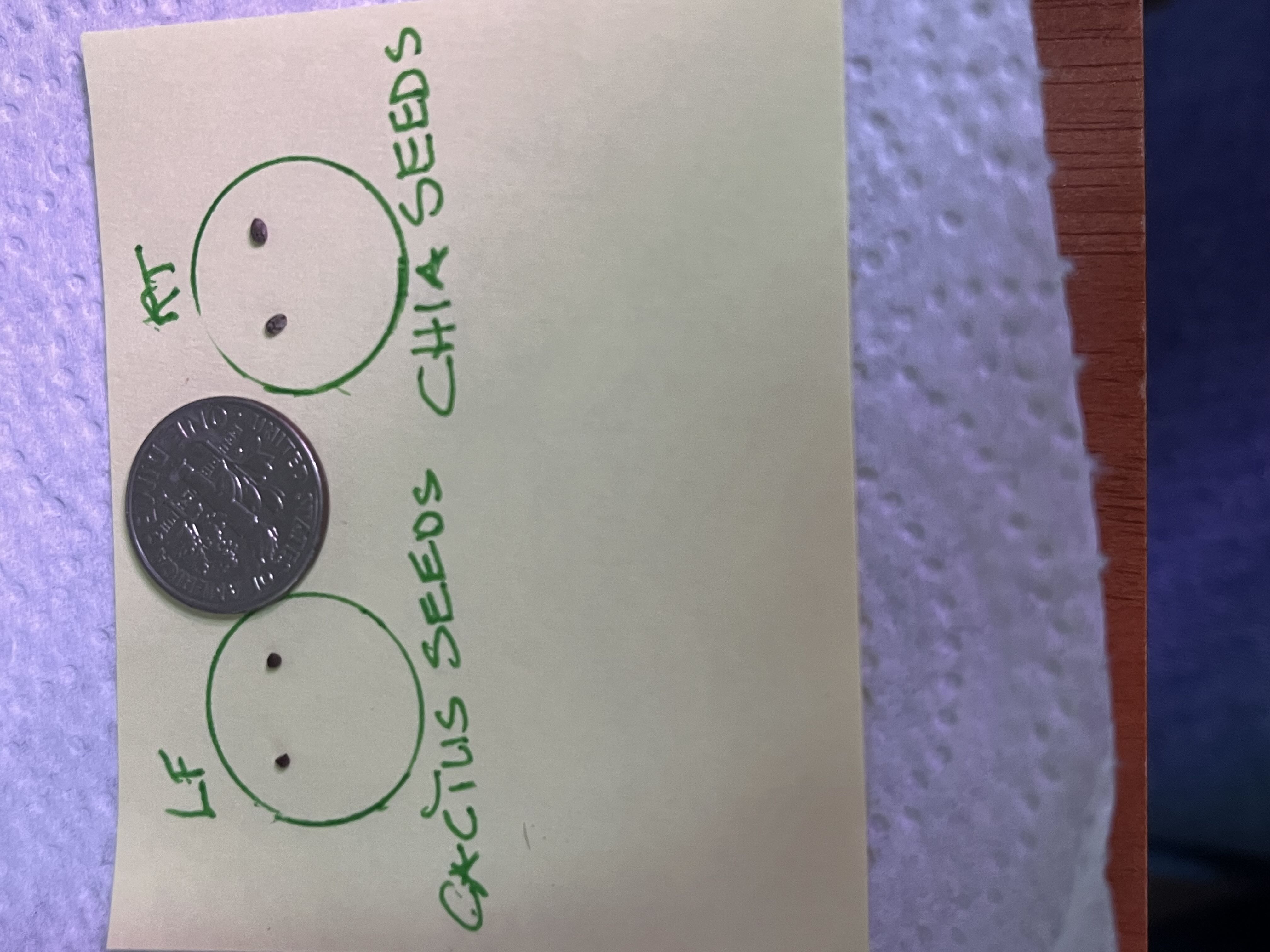 Photo from the post