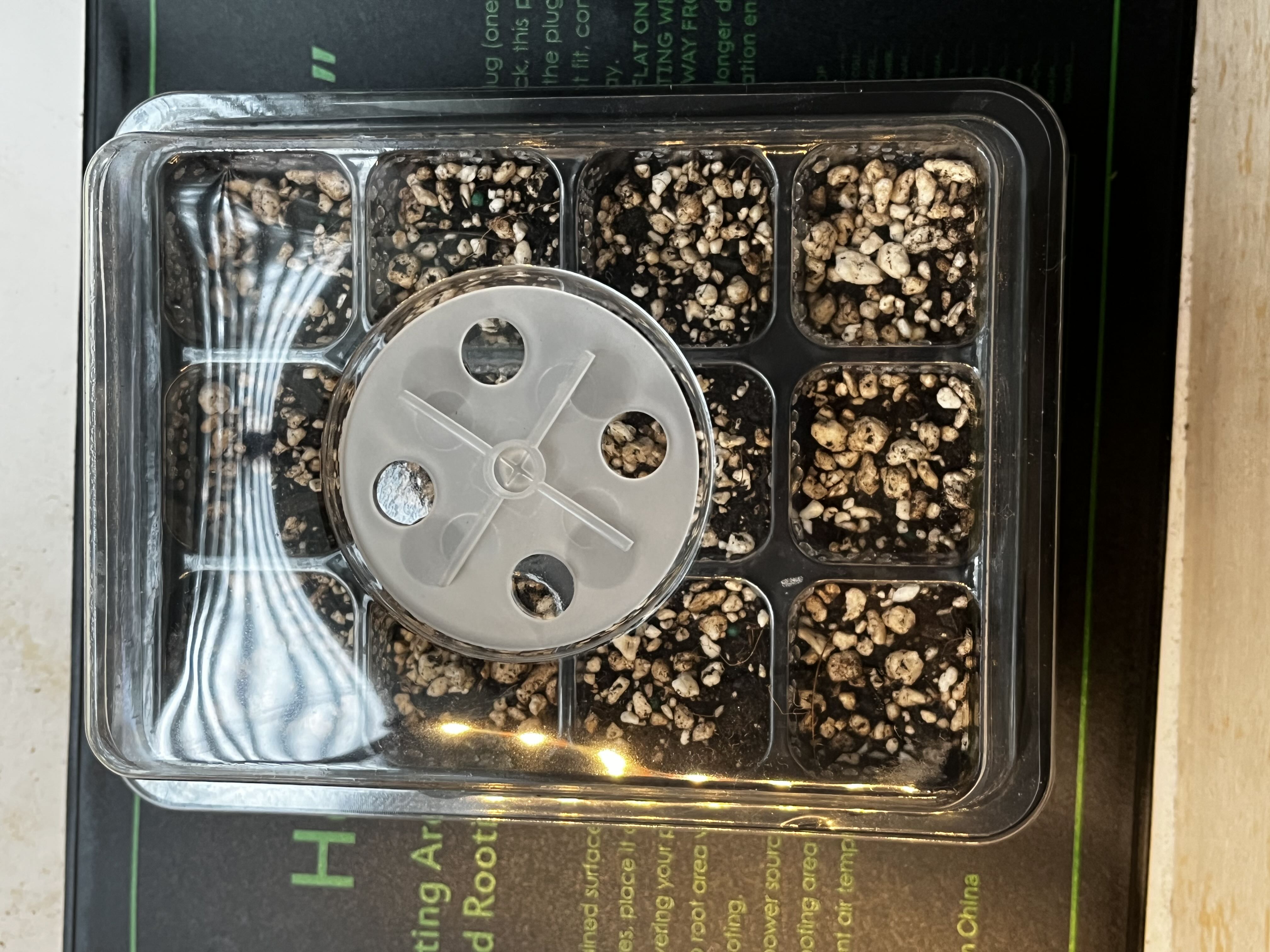 Photo from the post