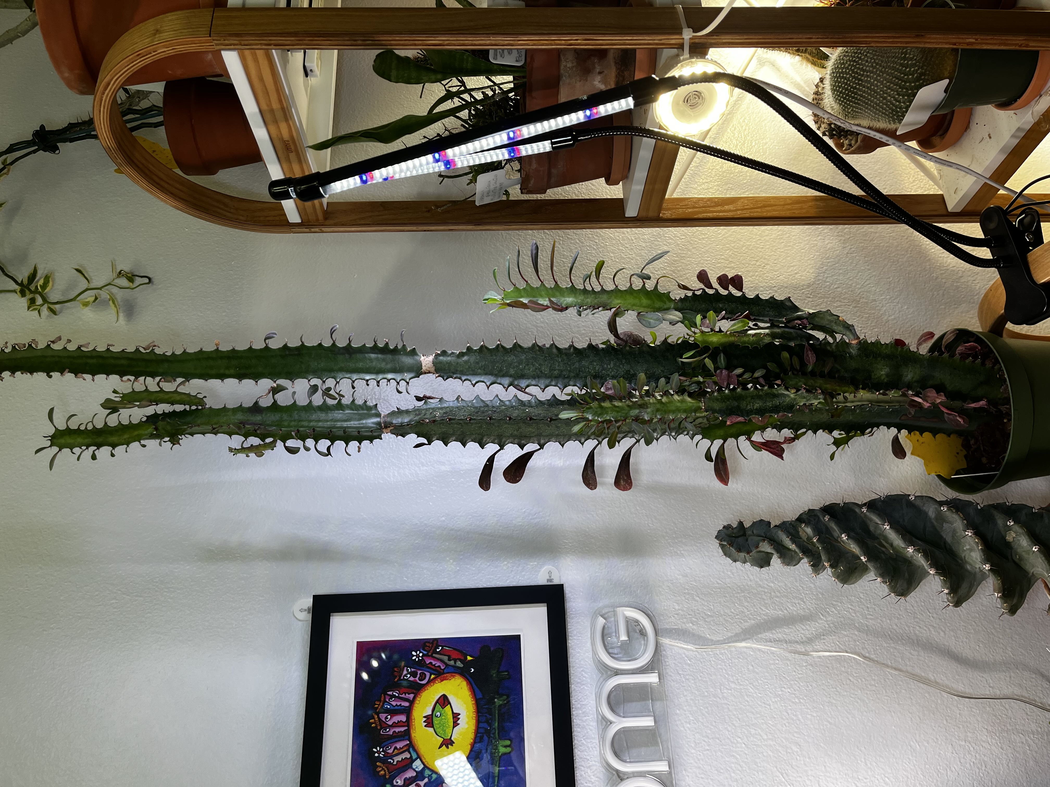 Photo from the post