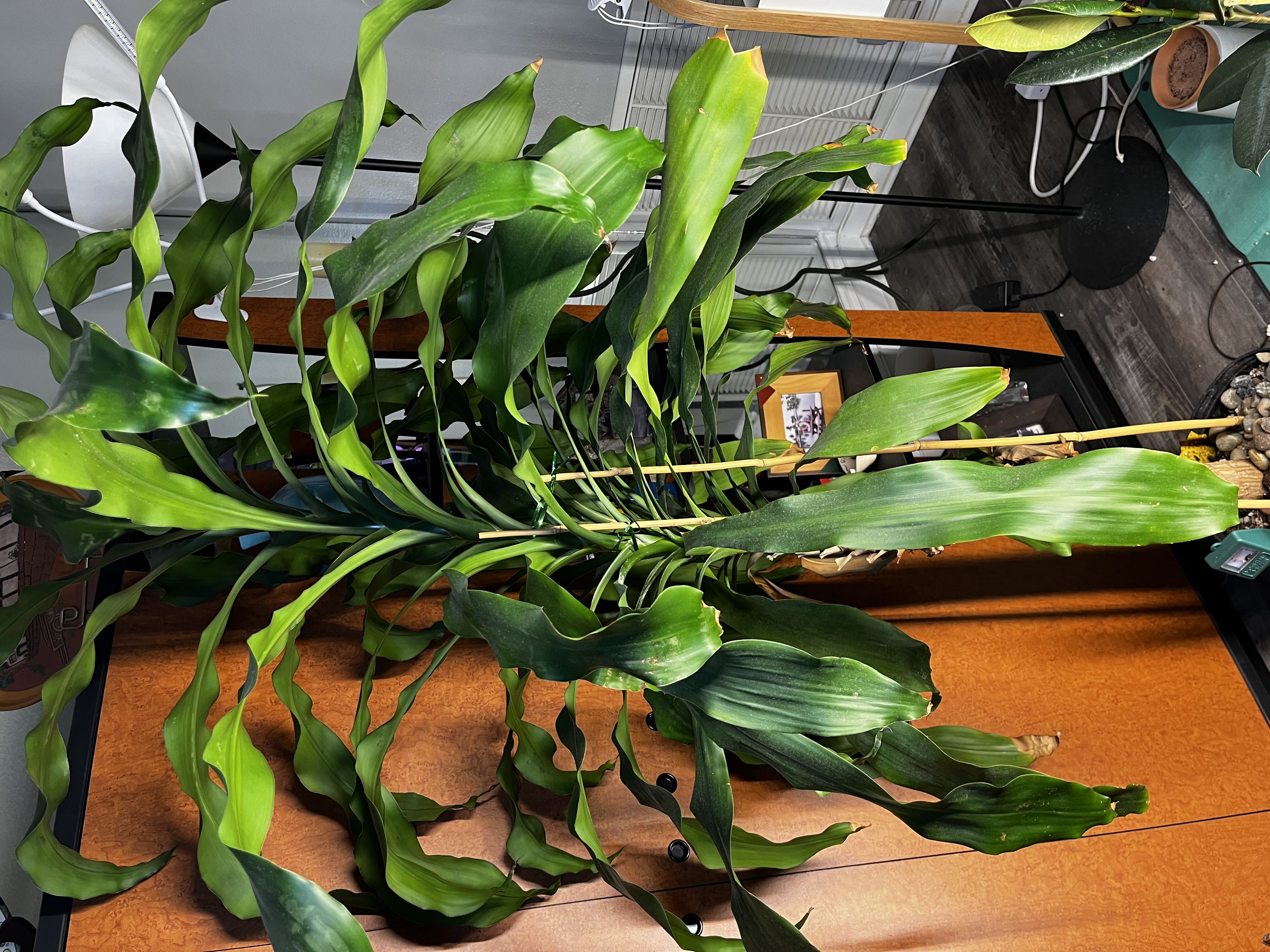 Photo from the post
