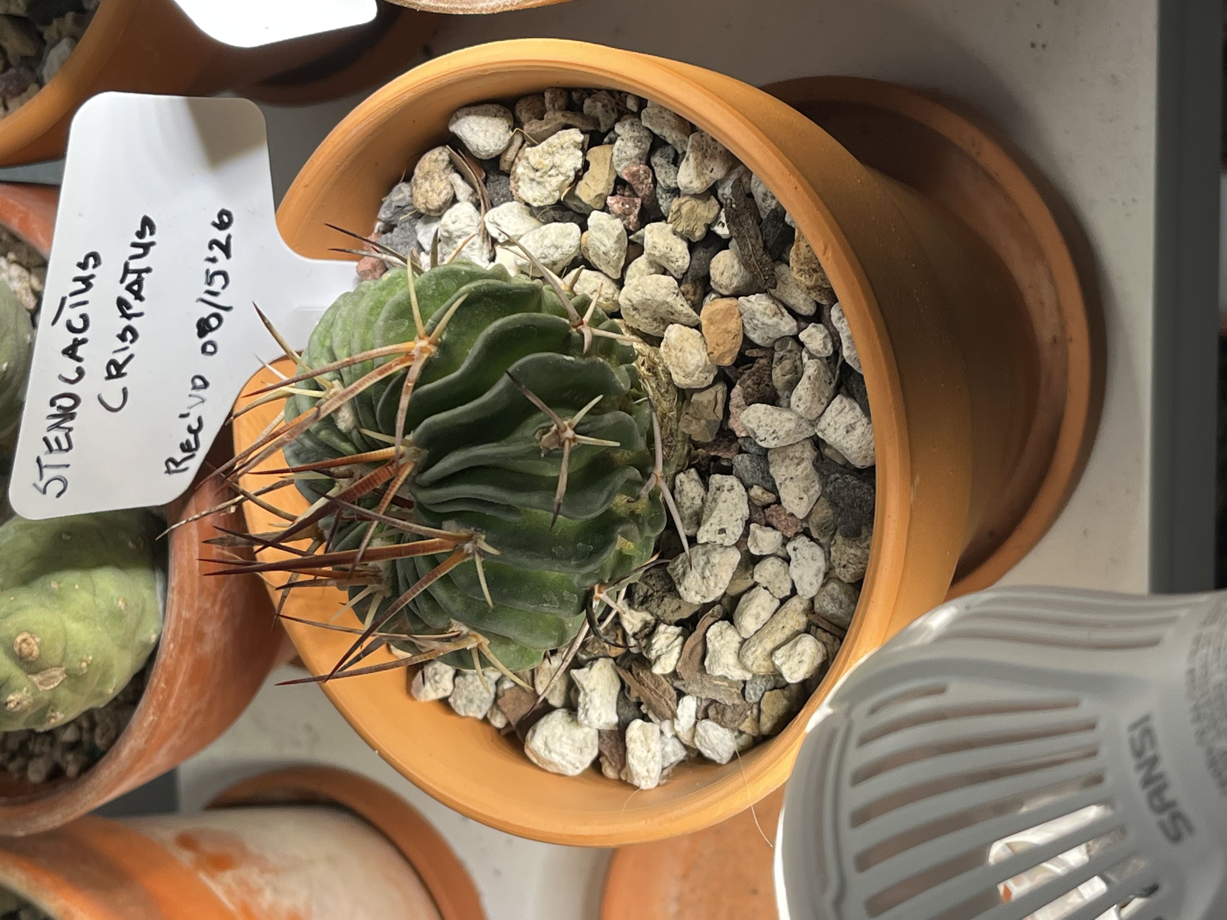 Photo from the post