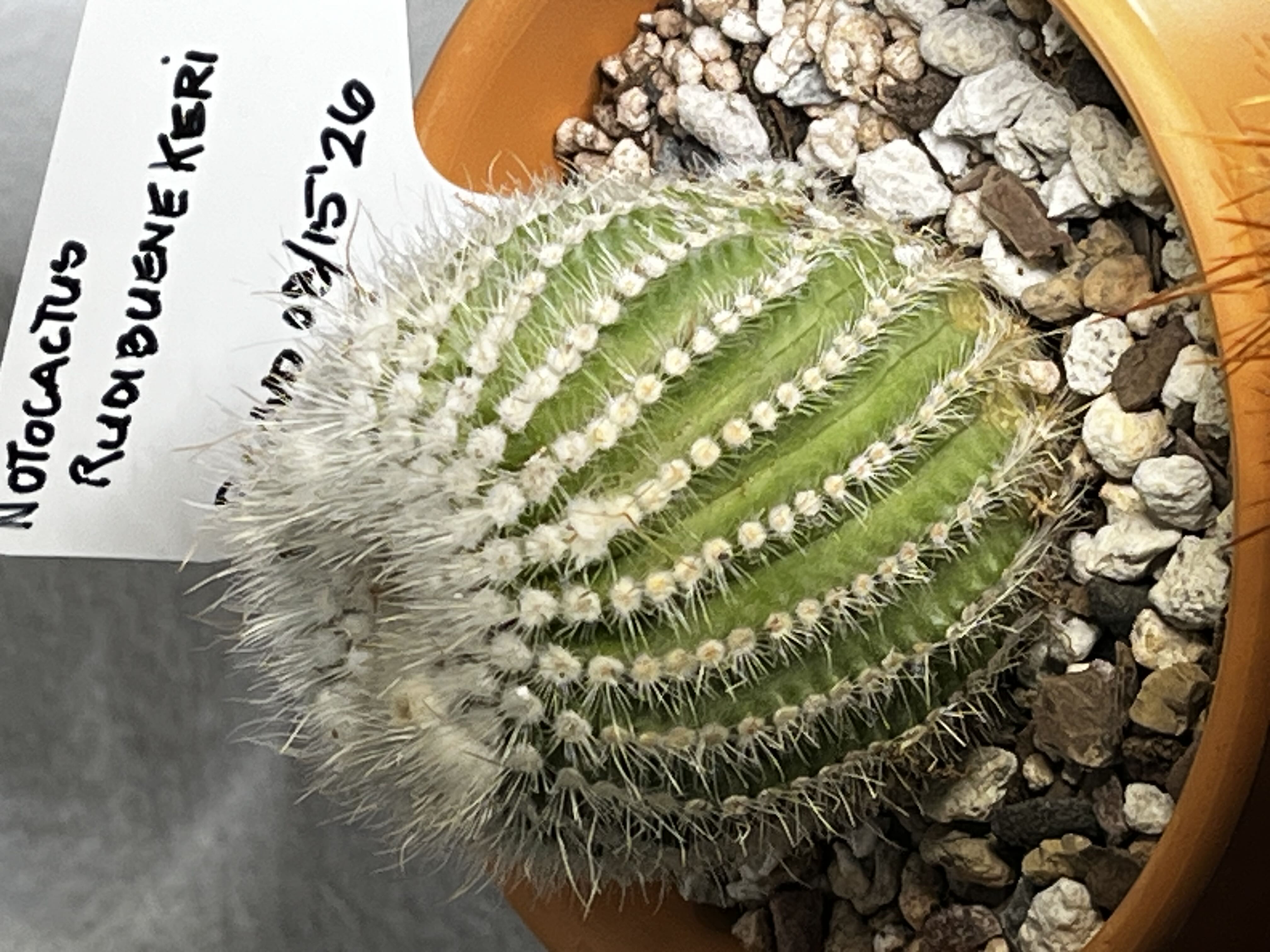 Photo from the post