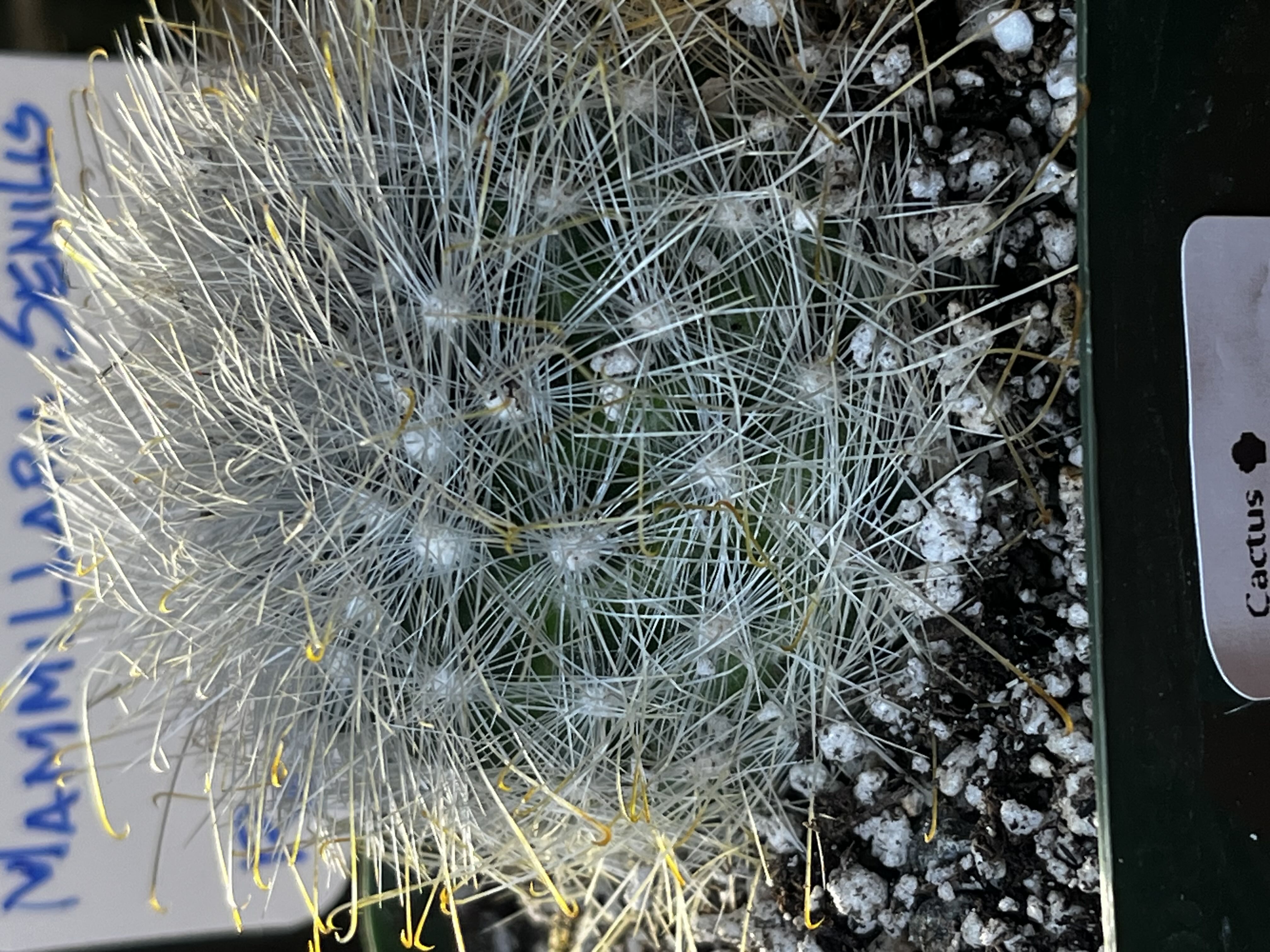 Photo from the post
