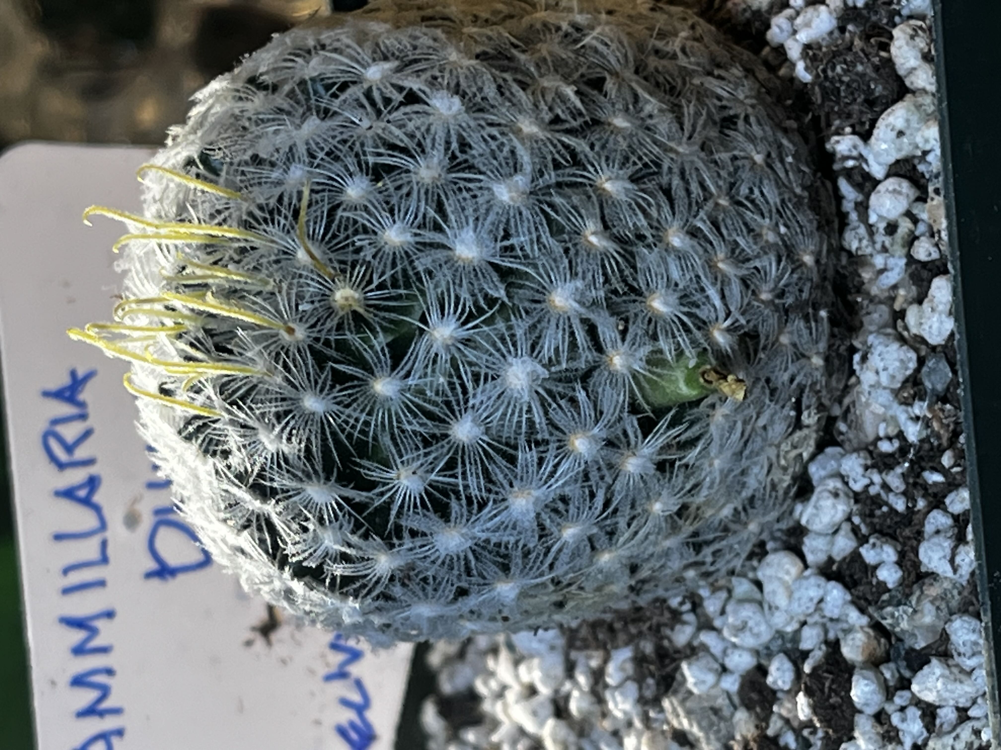 Photo from the post