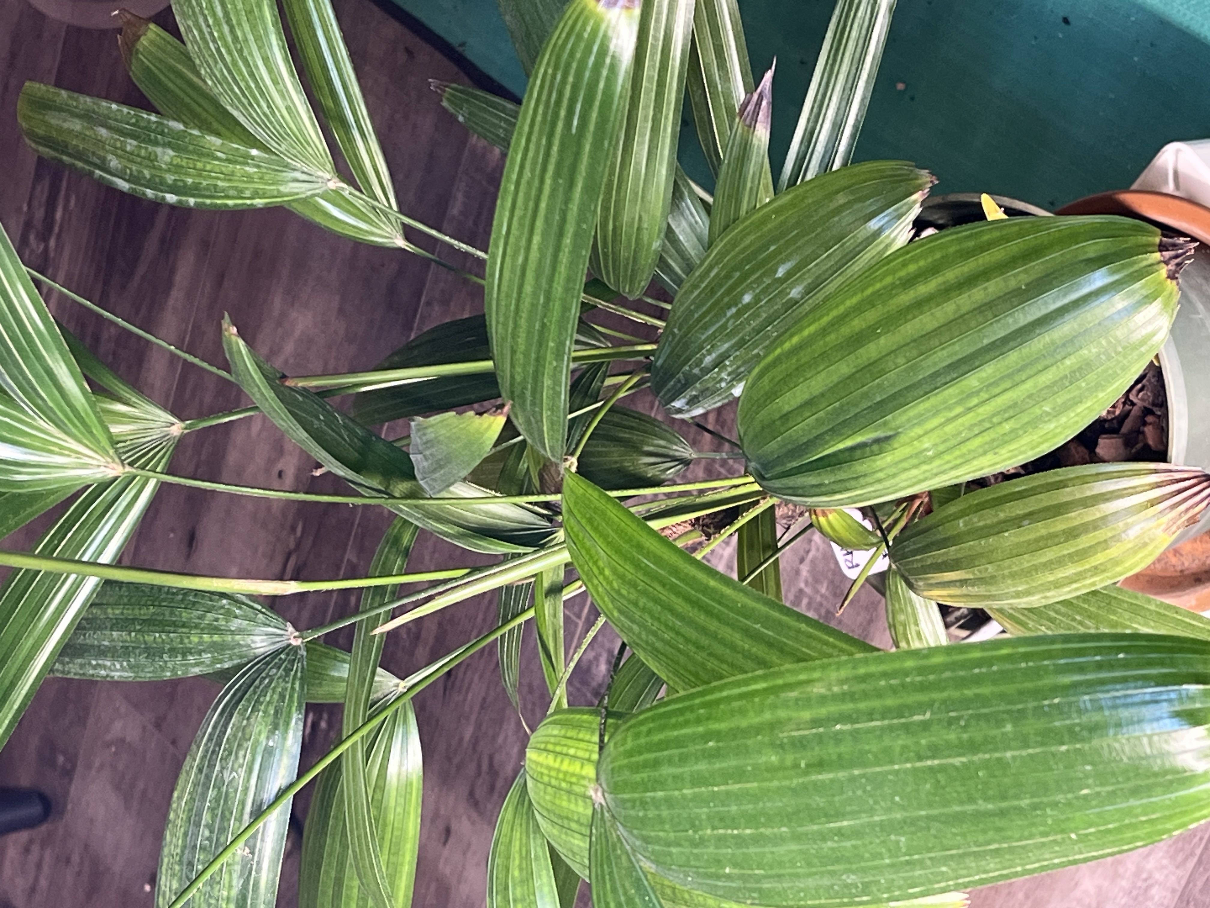 Photo from the post