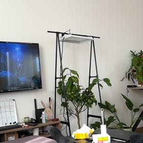 Photo of the plant species lemon tree by @CuddlyRedlog90 named Coco on Greg, the plant care app