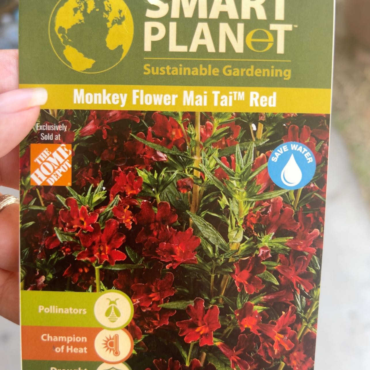 Photo of the plant species Mimulus 'Mai Tai Red' by @FunGooseberry51 named Muhammad Ali on Greg, the plant care app