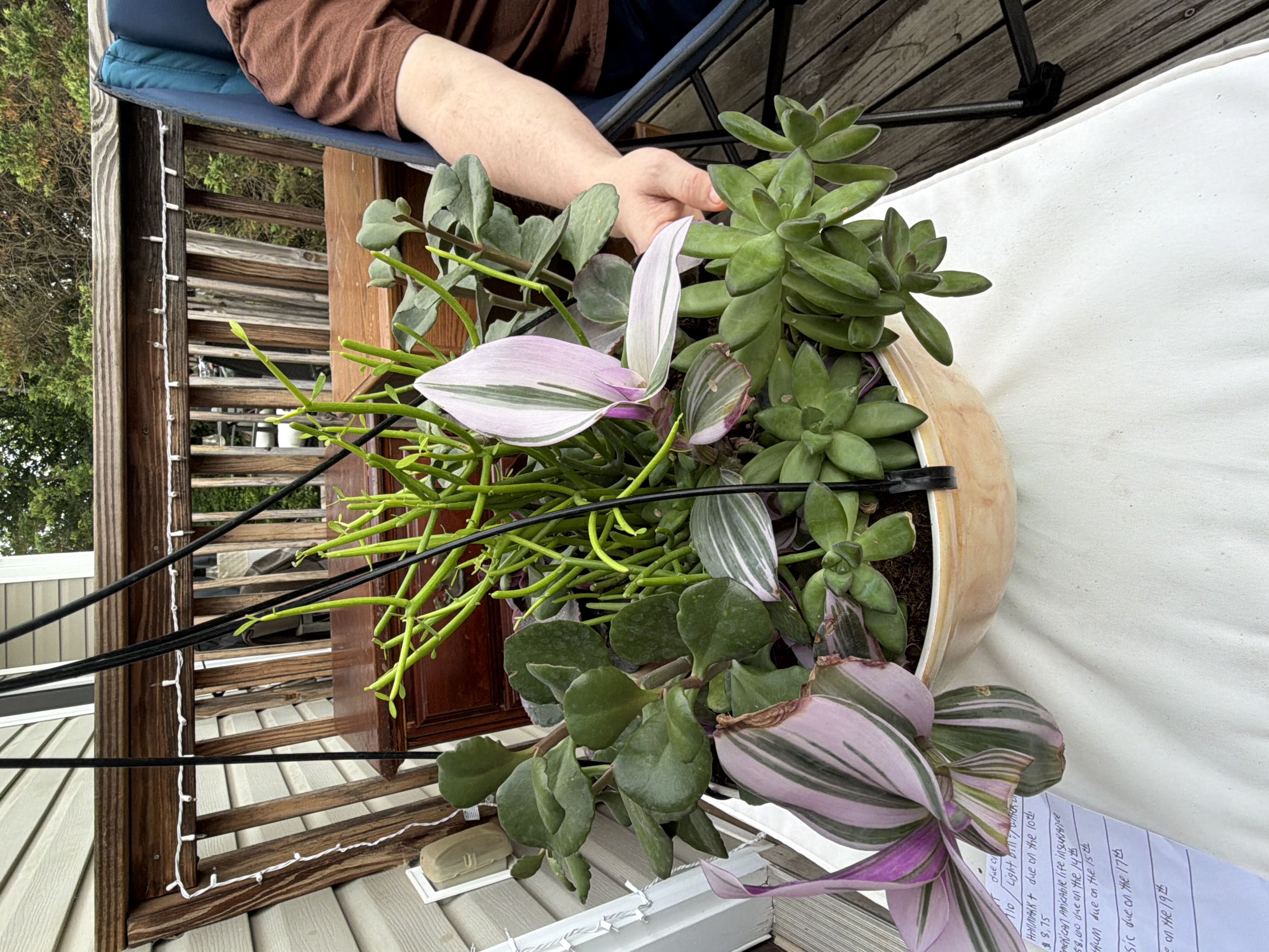 Photo from the post