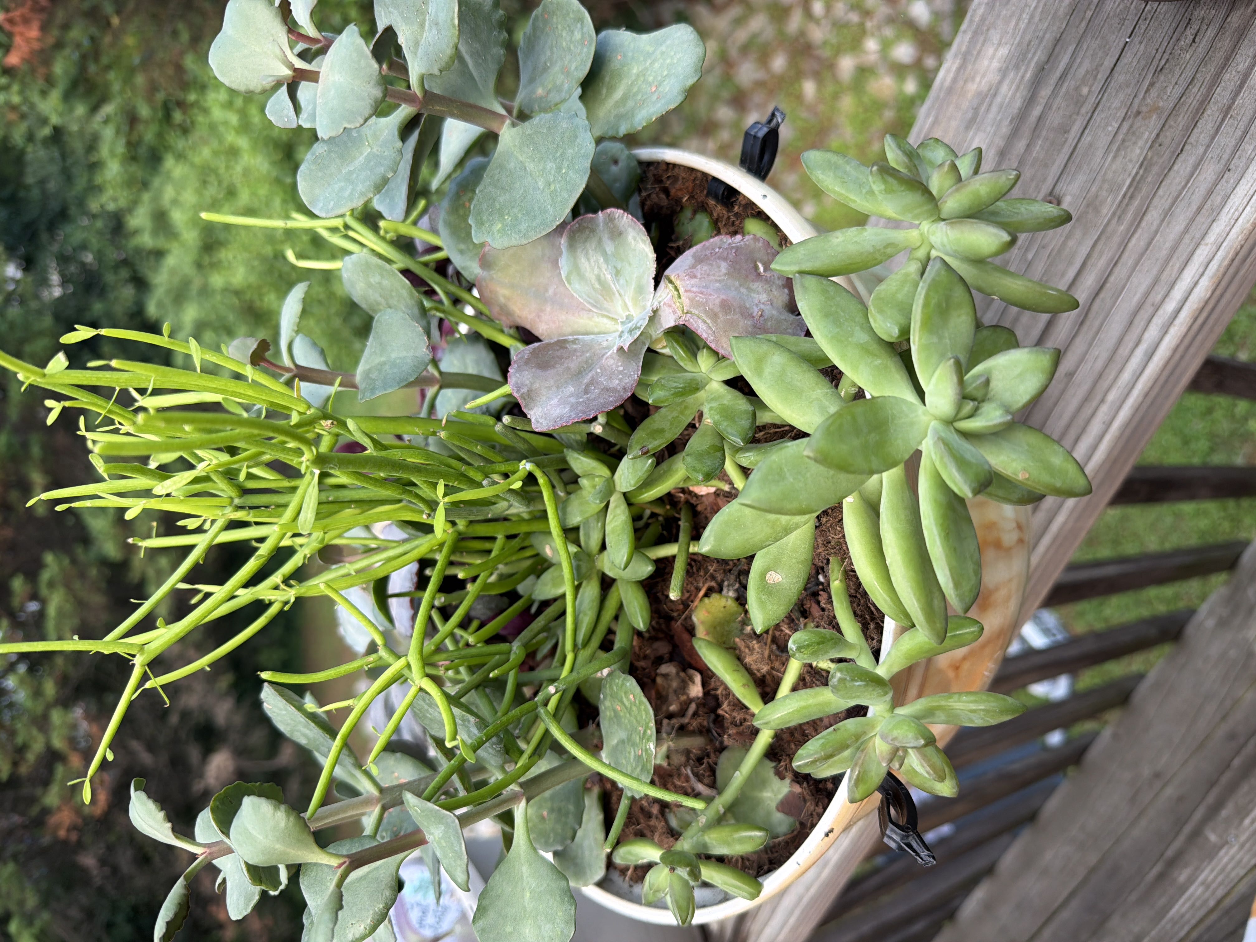 Photo from the post