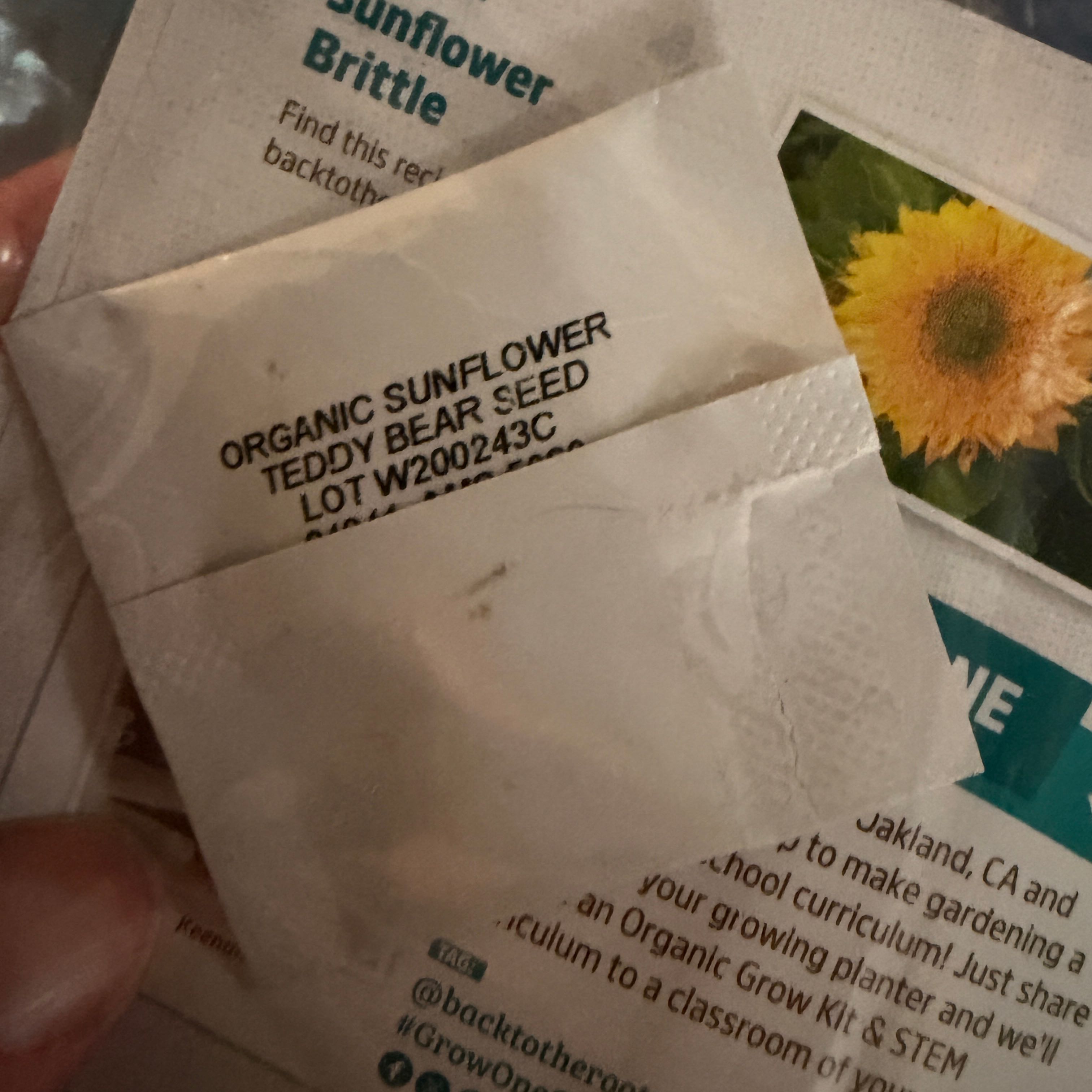 Photo of the plant species Dwarf Sunflower 'Mardi Gras Blend' by @UnusualAnise31 named Homer on Greg, the plant care app