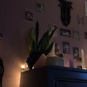 Photo of the plant species Butterfly Bush by @GutsyBluehaze97 named Treeyoncé on Greg, the plant care app
