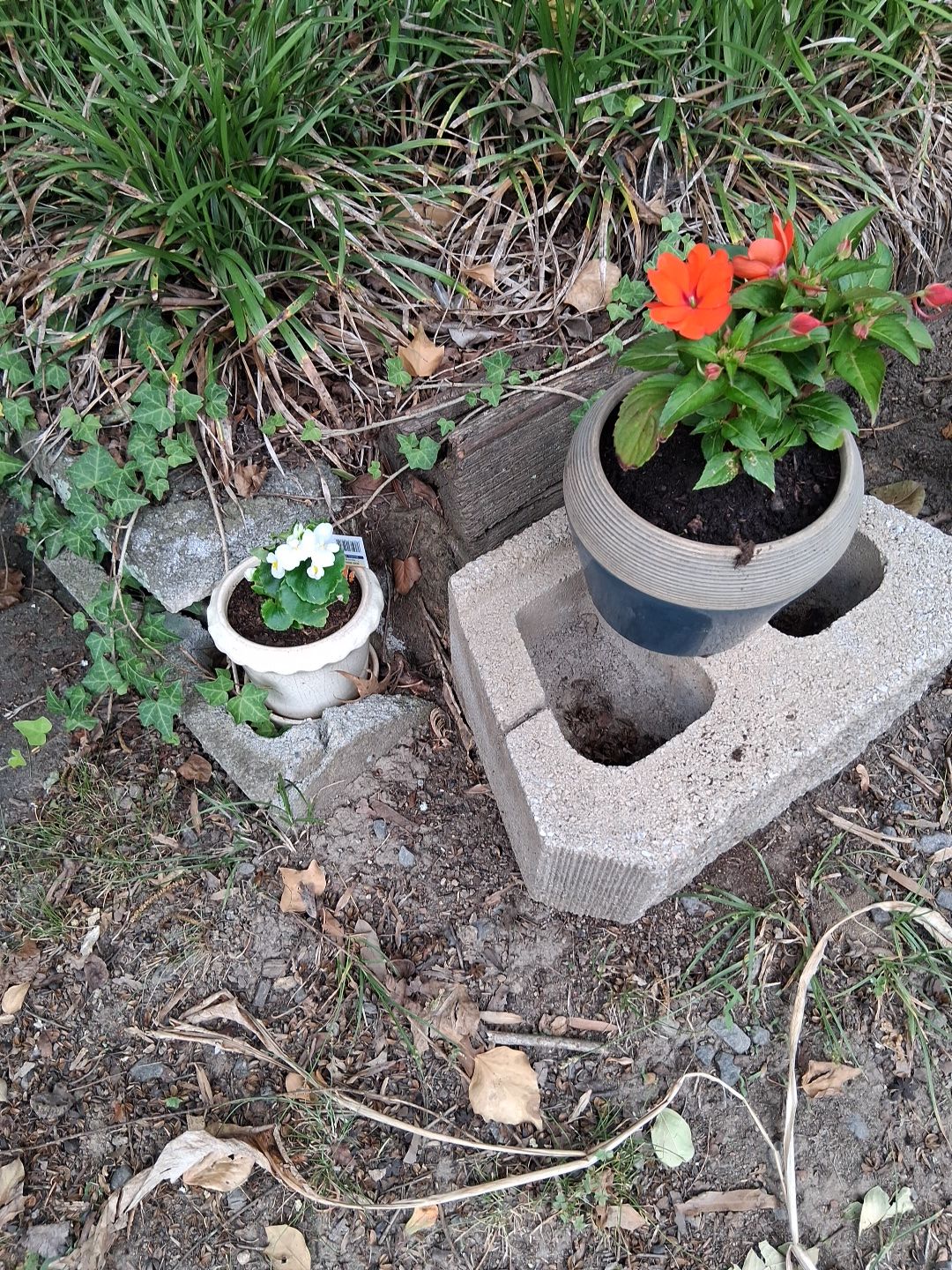 Photo from the post