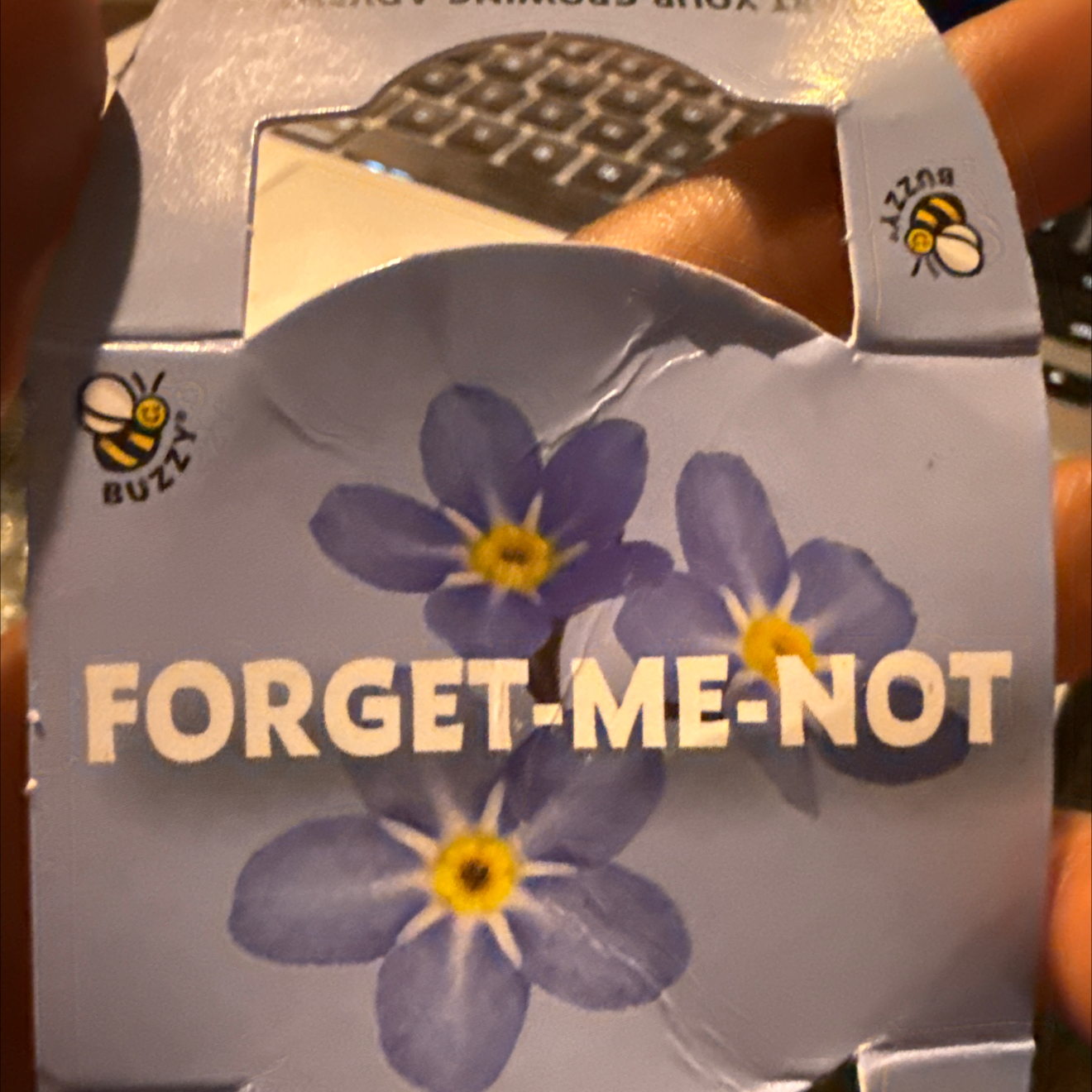Photo of the plant species Chinese Forget-Me-Not by @NimbleCoyotillo named Athena on Greg, the plant care app
