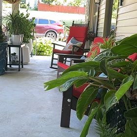 Photo of the plant species Philodendron Princess by @TutorStaraloe89 named Tolkien on Greg, the plant care app