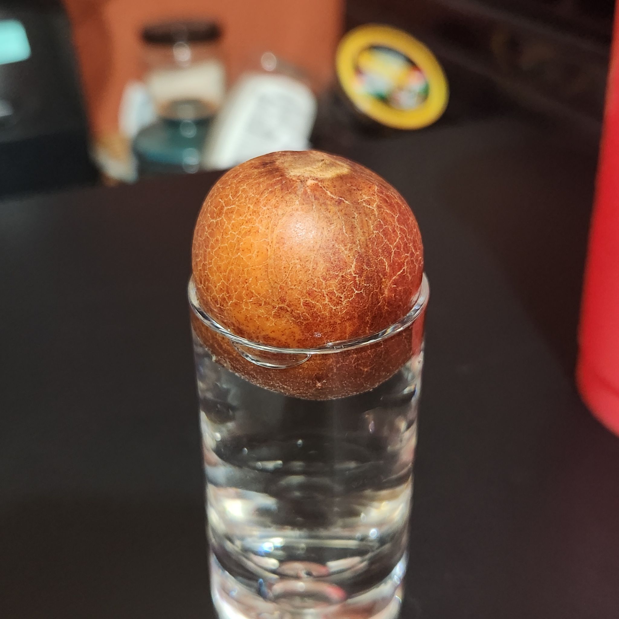 Photo of the plant species avocado seed by @DifferentCobnut named Schmidt on Greg, the plant care app