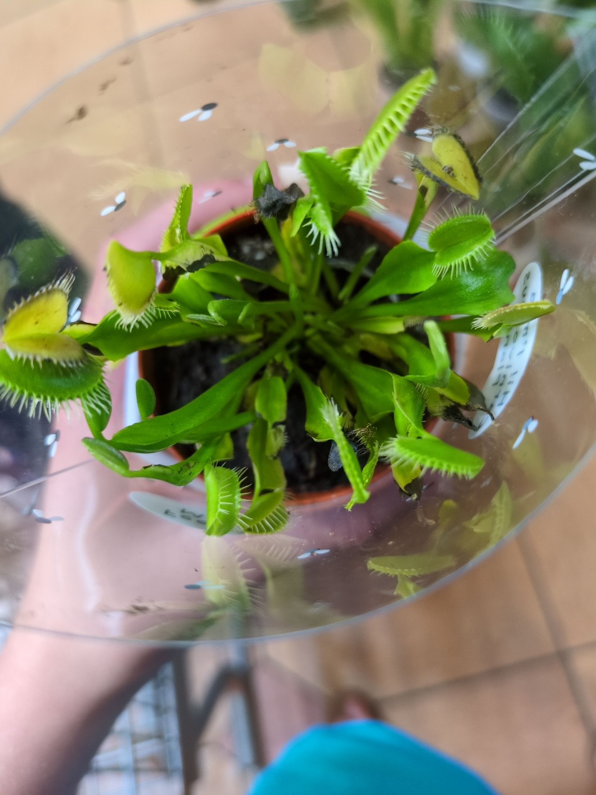 Photo from the post