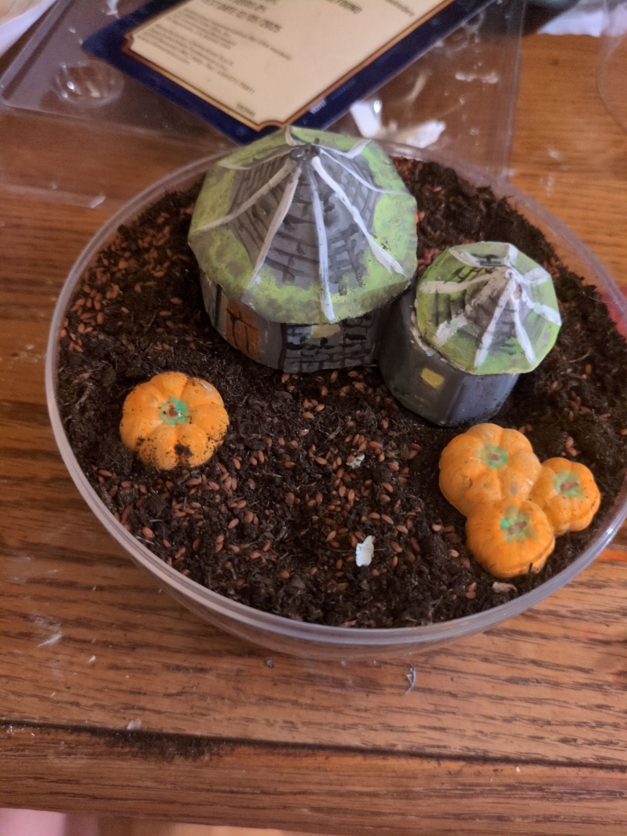 Photo from the post