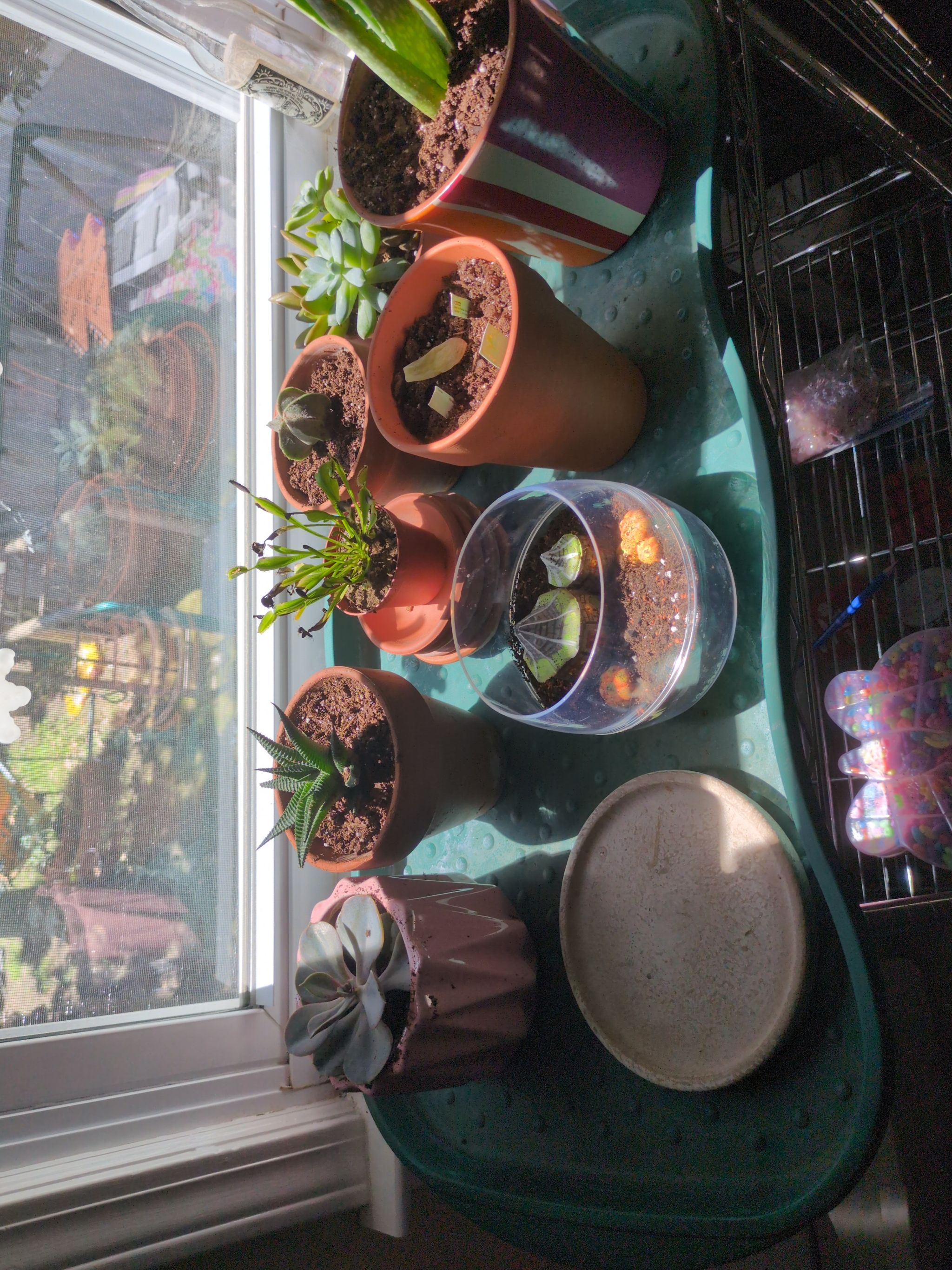 Photo from the post