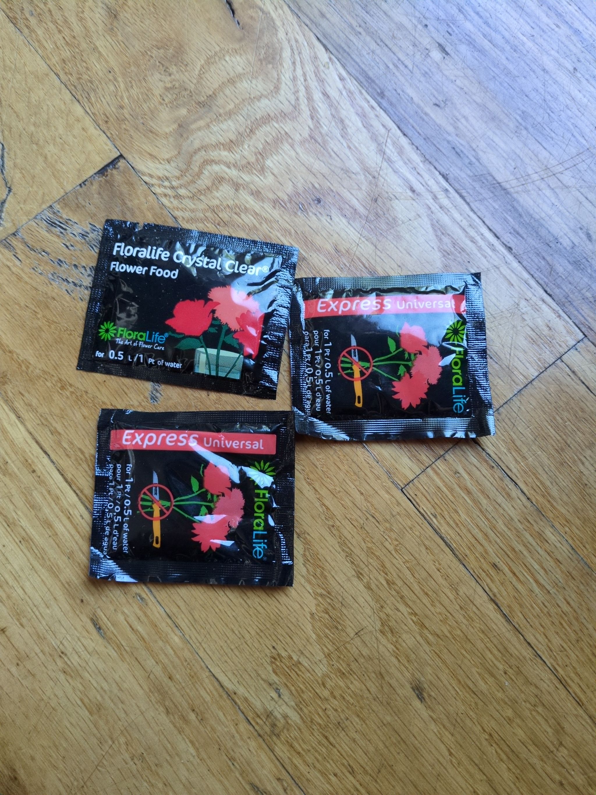 Photo from the post