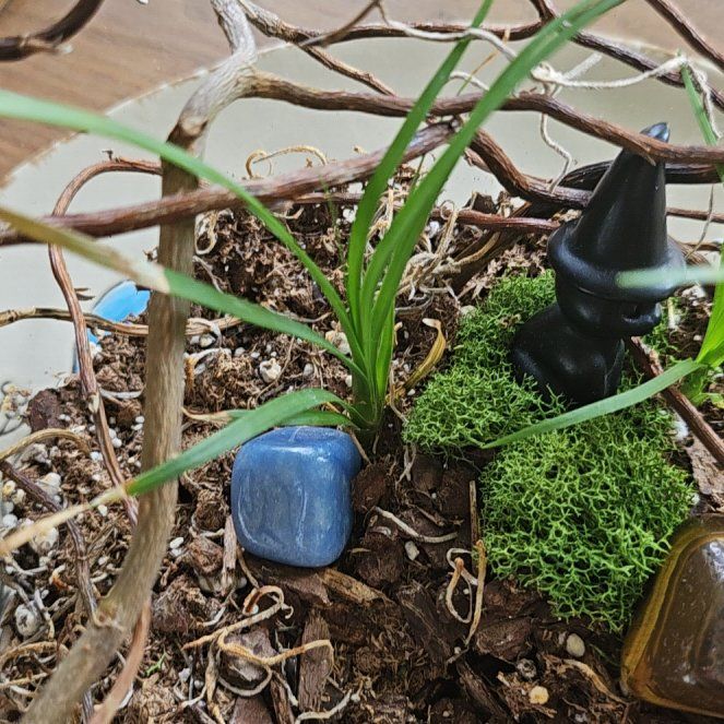 Photo of the plant species Orchid by @KindRosea95 named Chidor on Greg, the plant care app