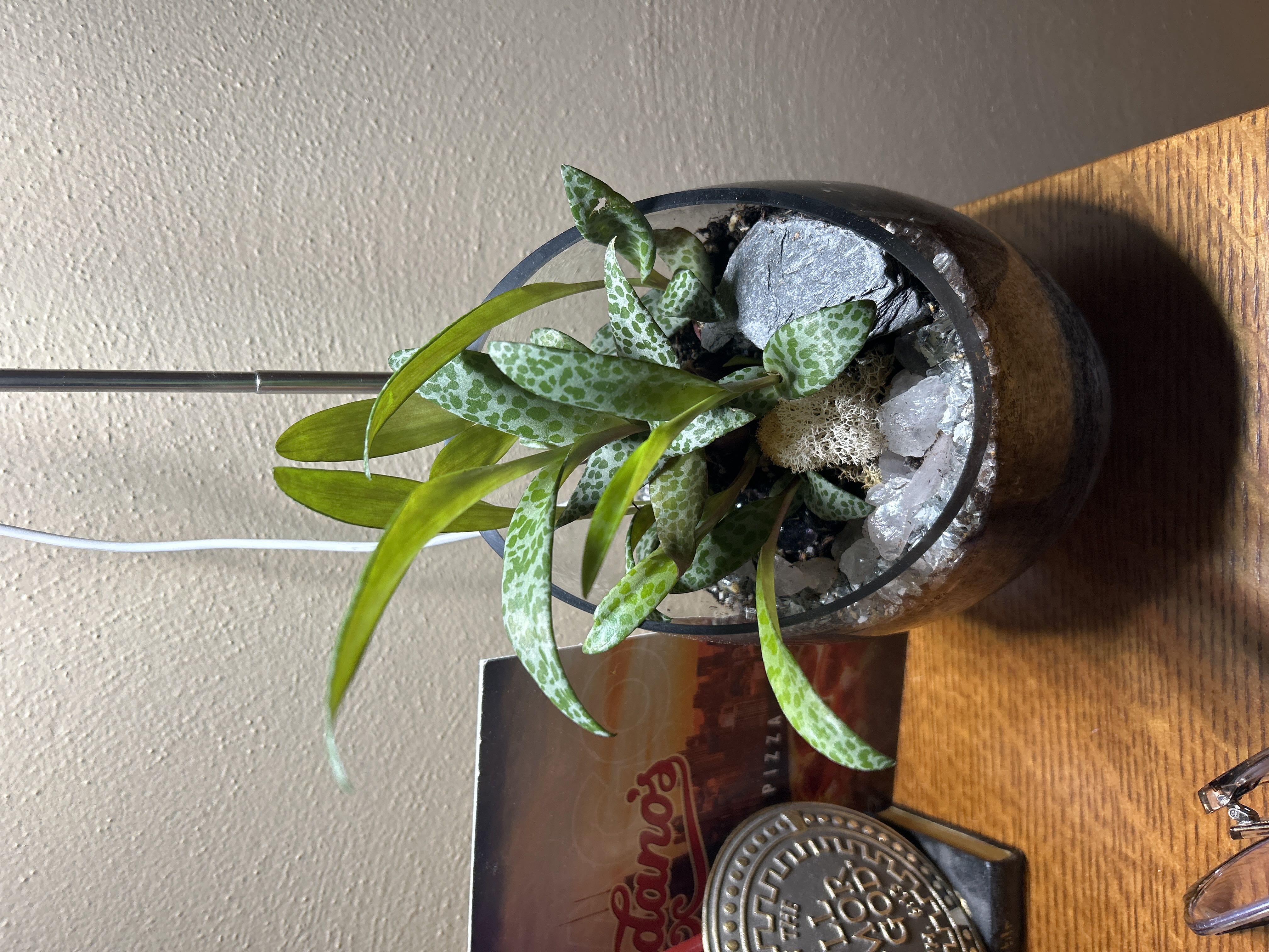 Photo from the post