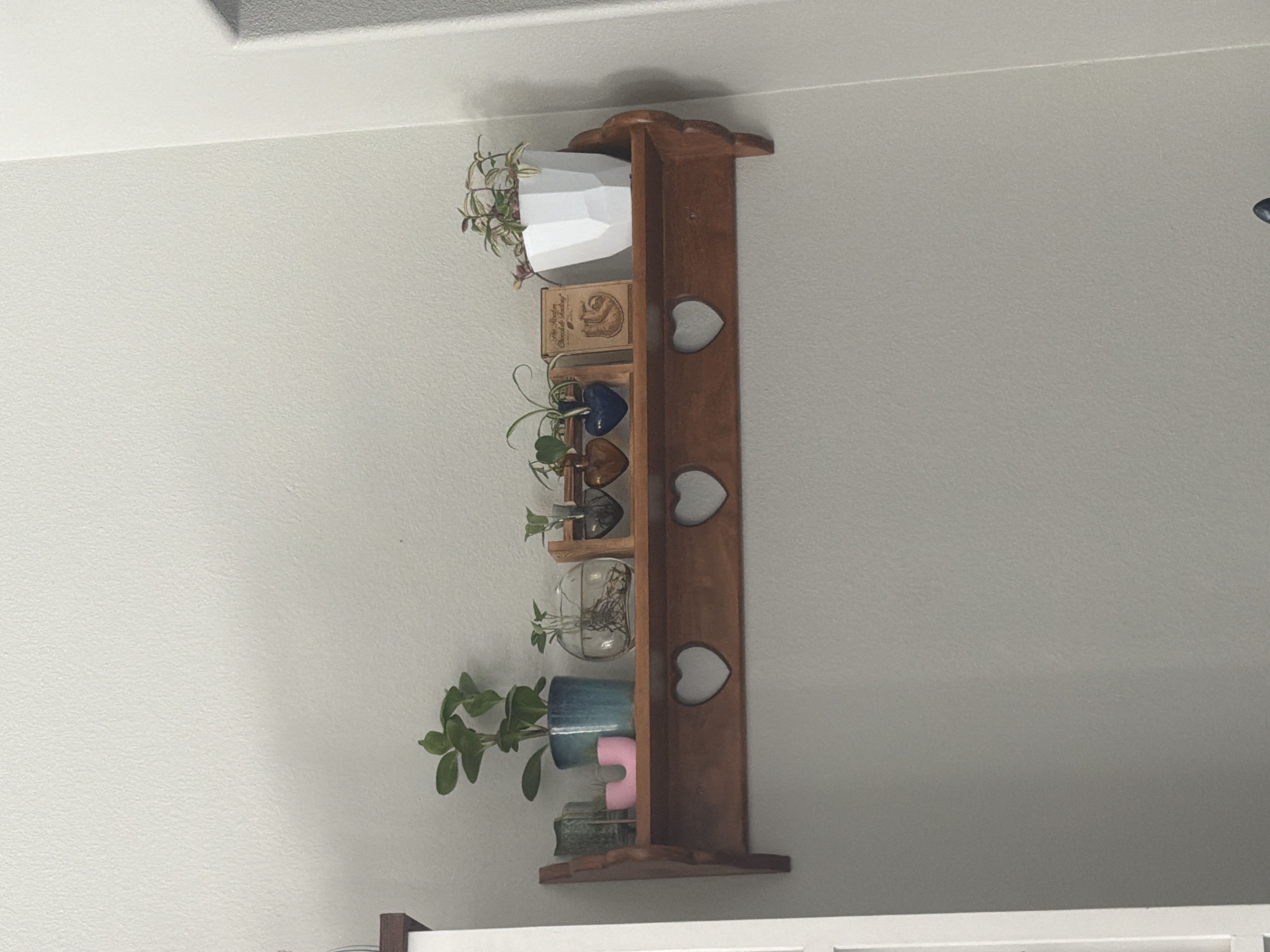 Photo from the post