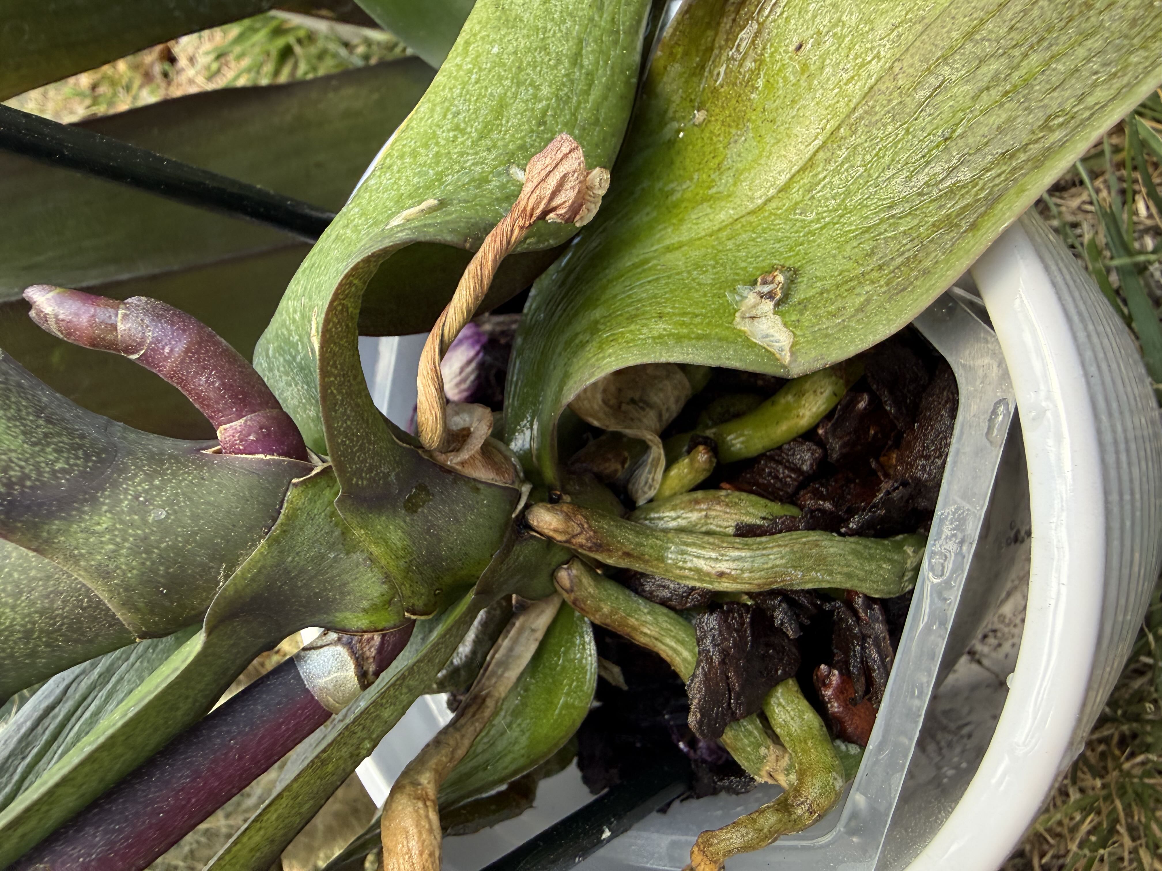 Photo from the post