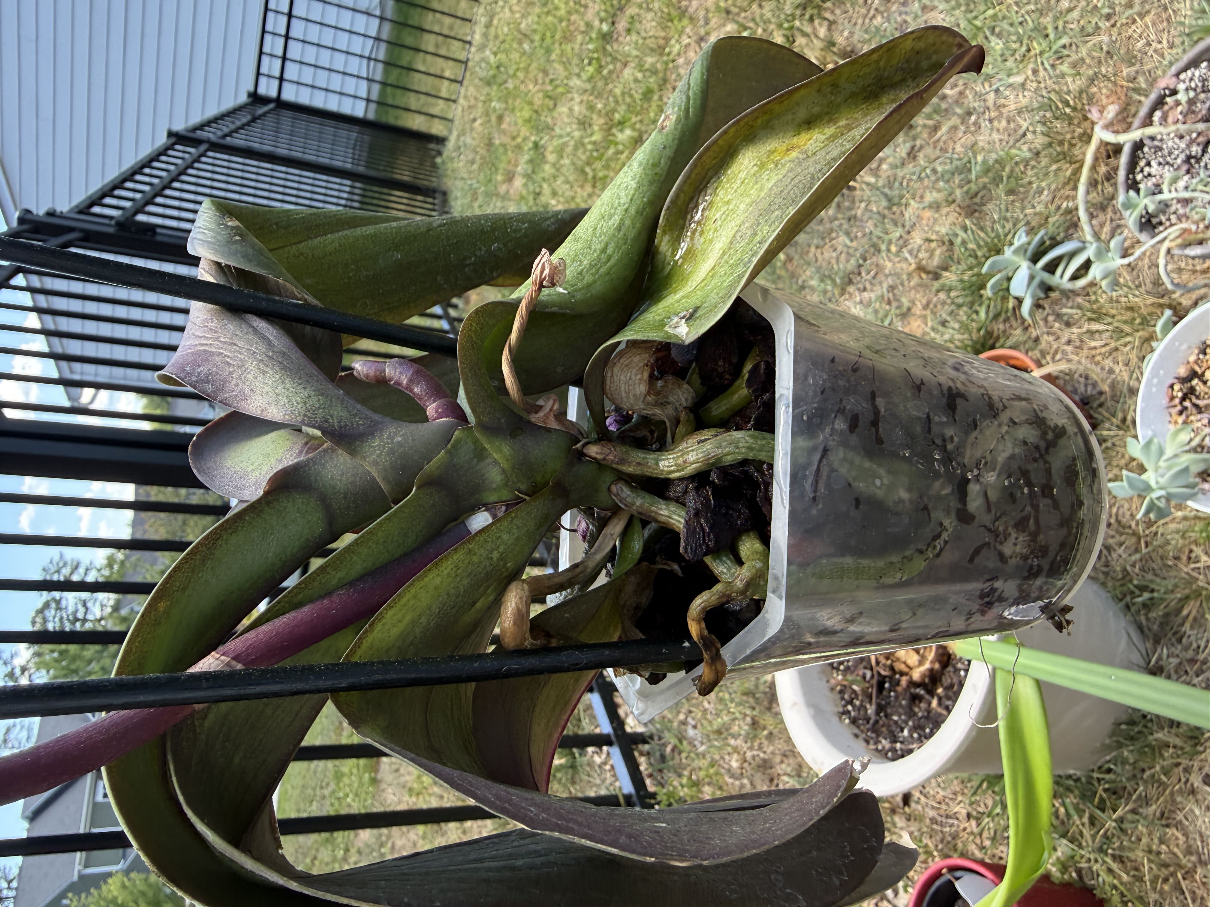 Photo from the post