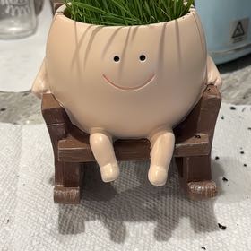 Photo of the plant species Wheatgrass by Leah named Coco on Greg, the plant care app