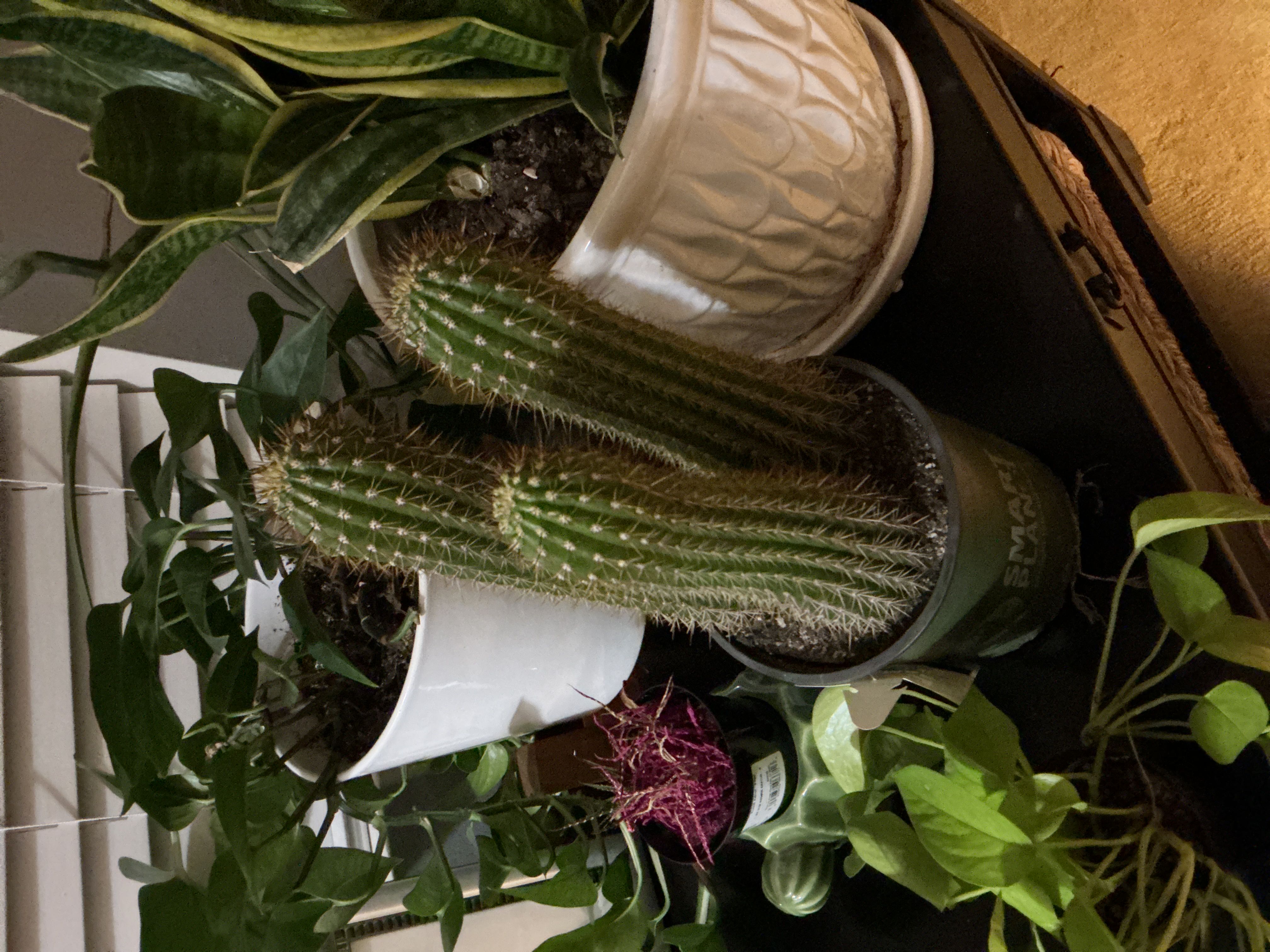 Photo from the post