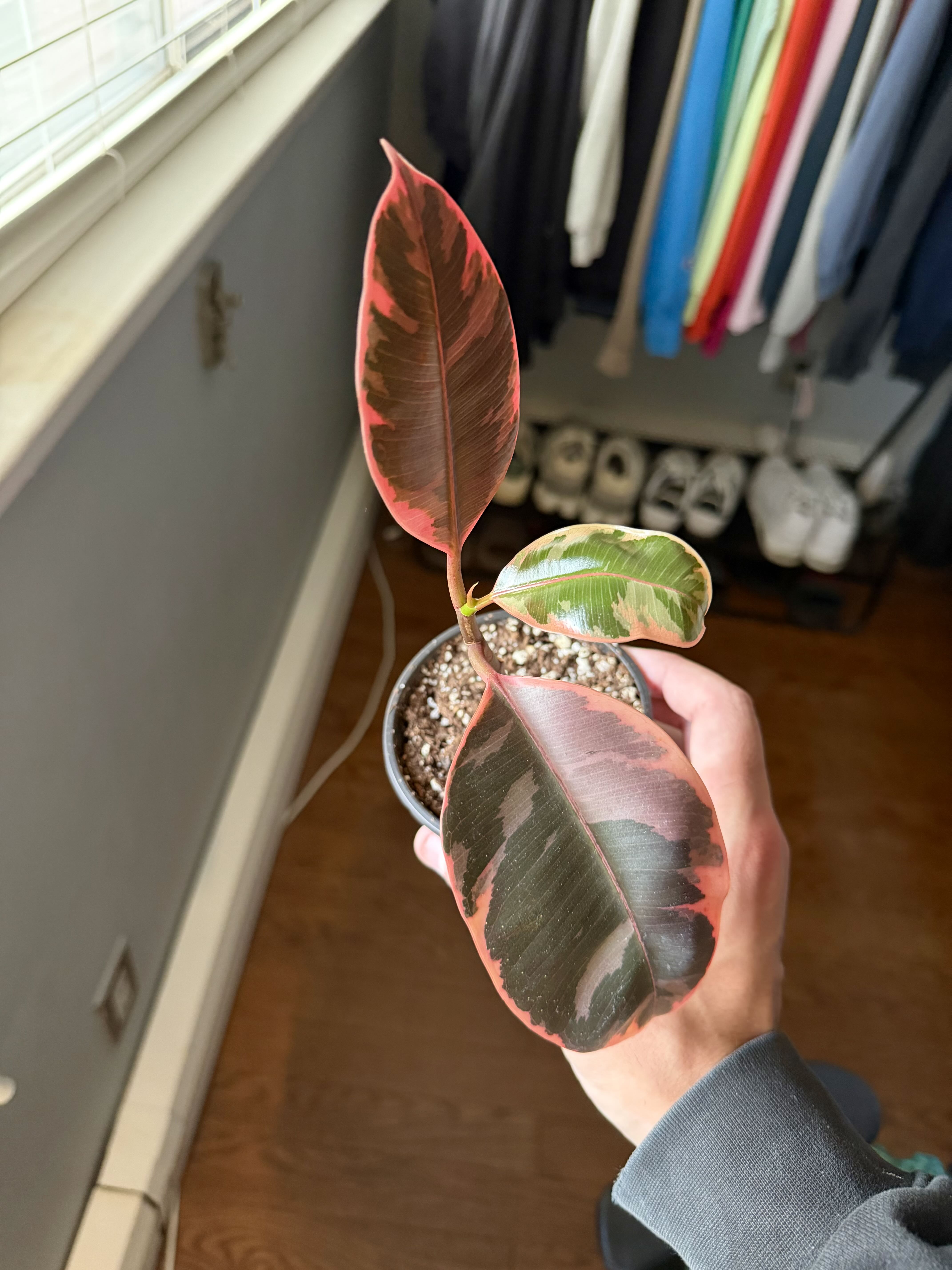 Photo from the post