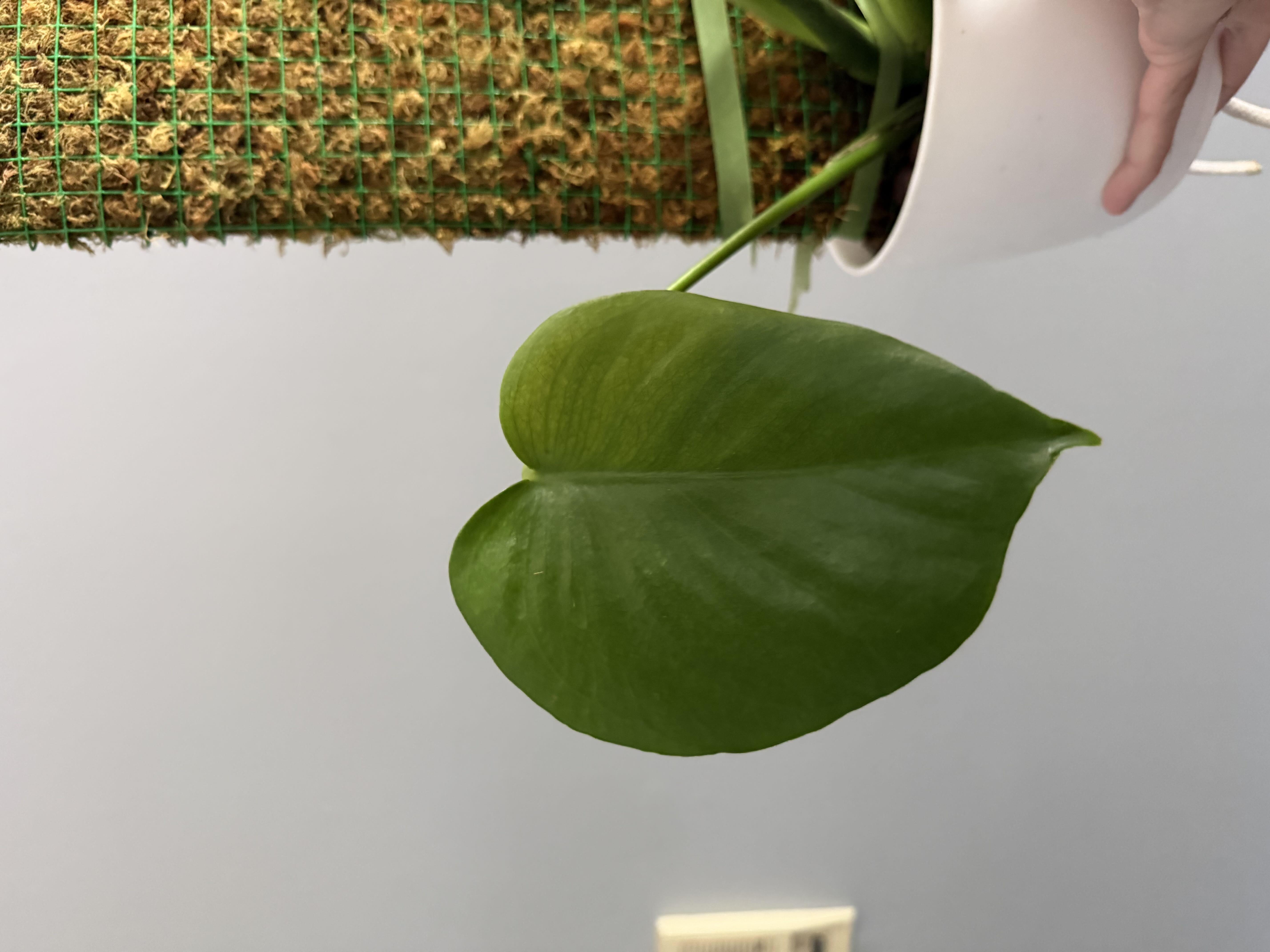 Photo from the post