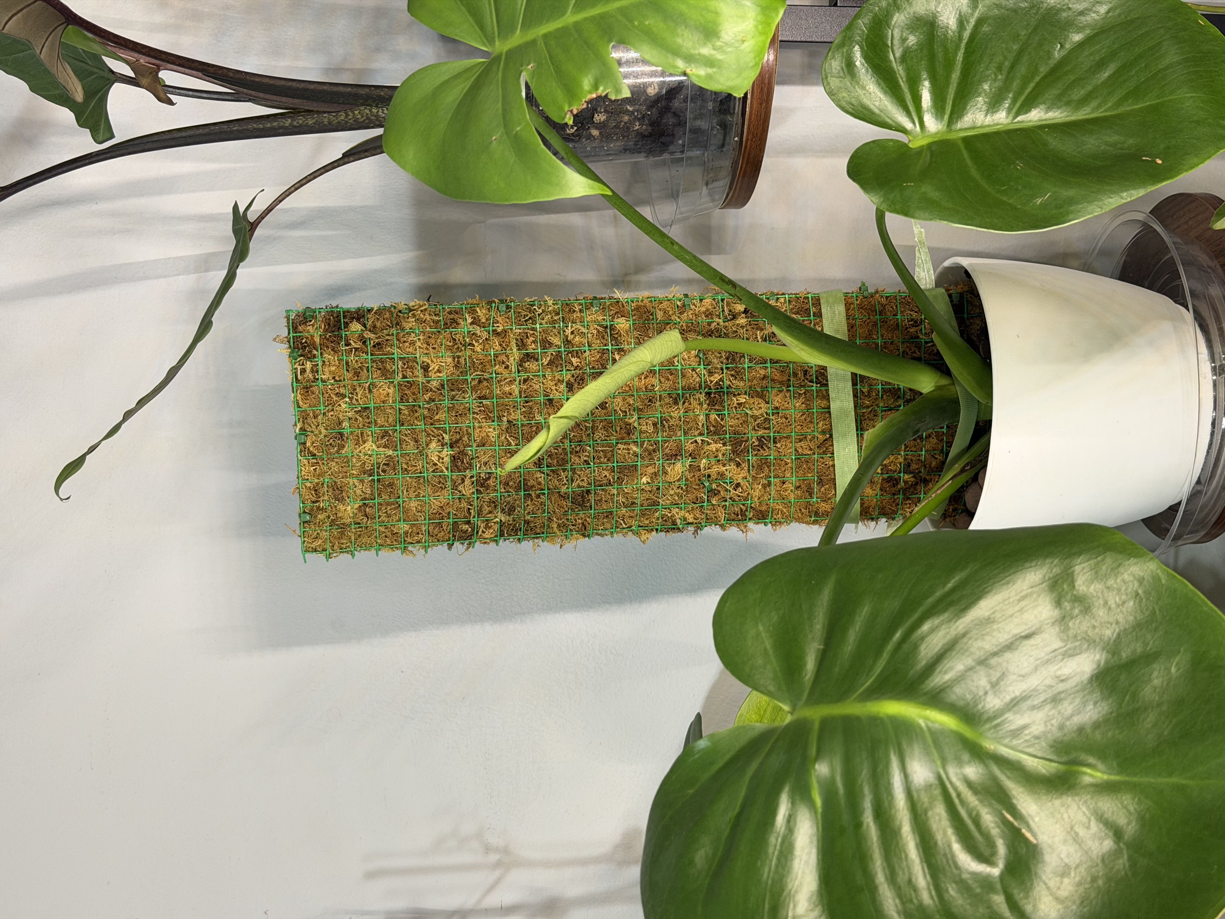 Photo from the post