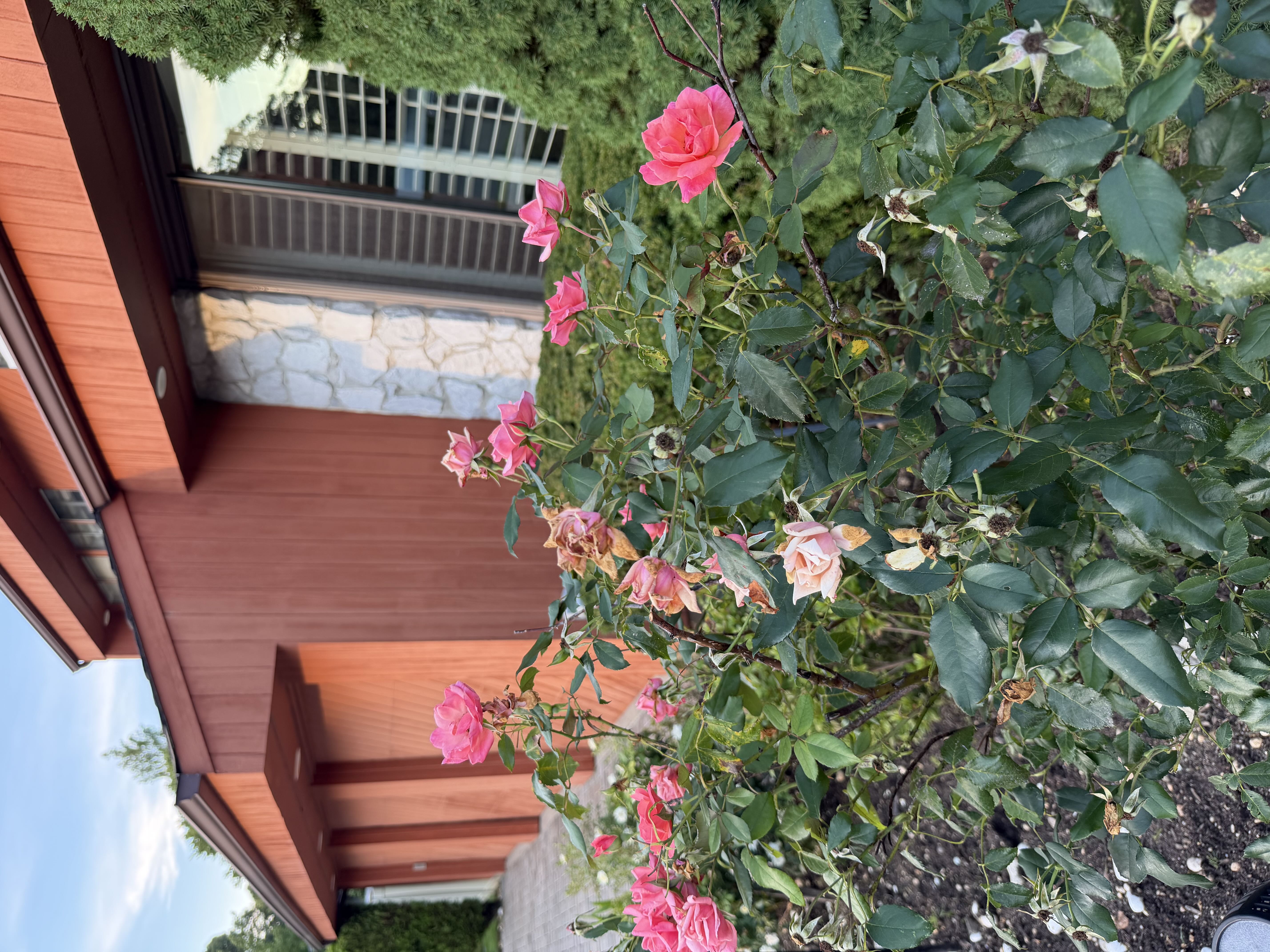 Photo from the post