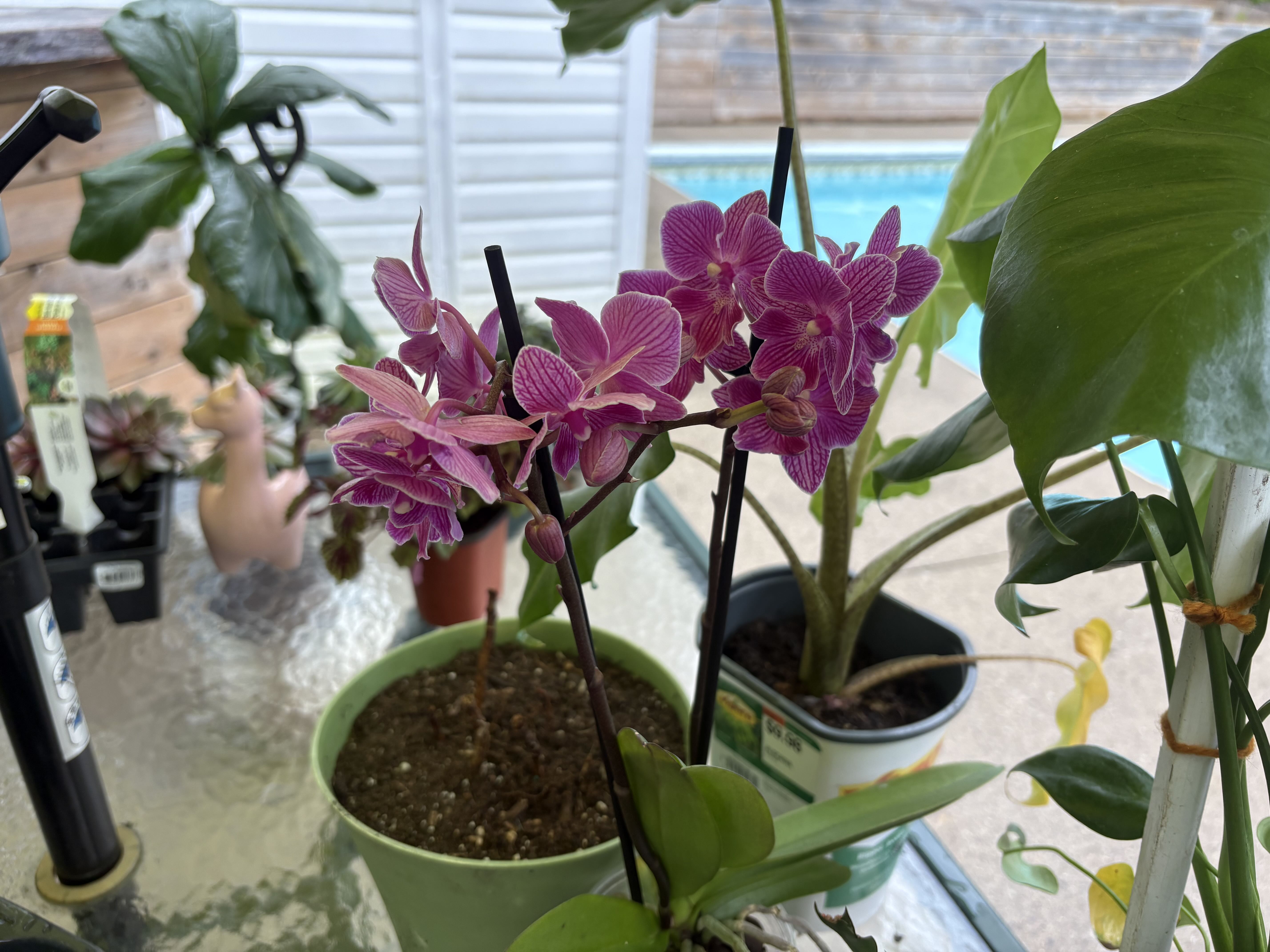 Photo from the post