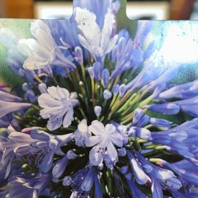 Photo of the plant species Agapanthus 'Blue' by @PreparedWoreya4 named McKinley on Greg, the plant care app