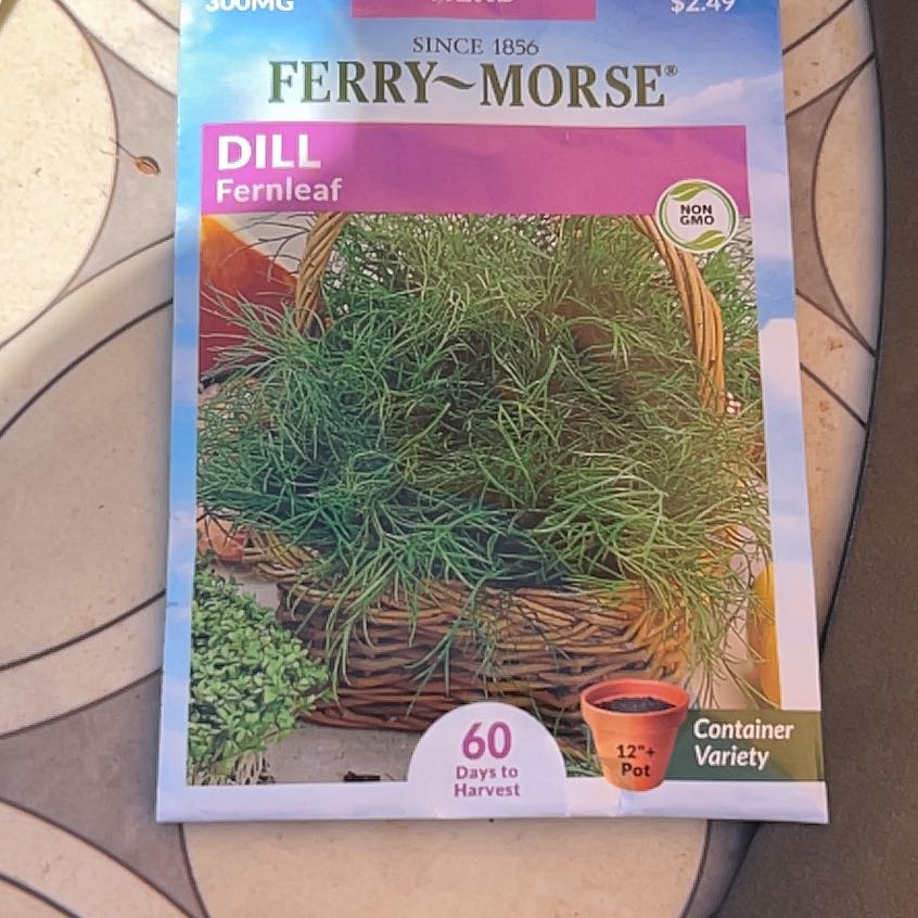 Photo of the plant species Fern Leaf Dill by @AssuredHeketara named Xena on Greg, the plant care app