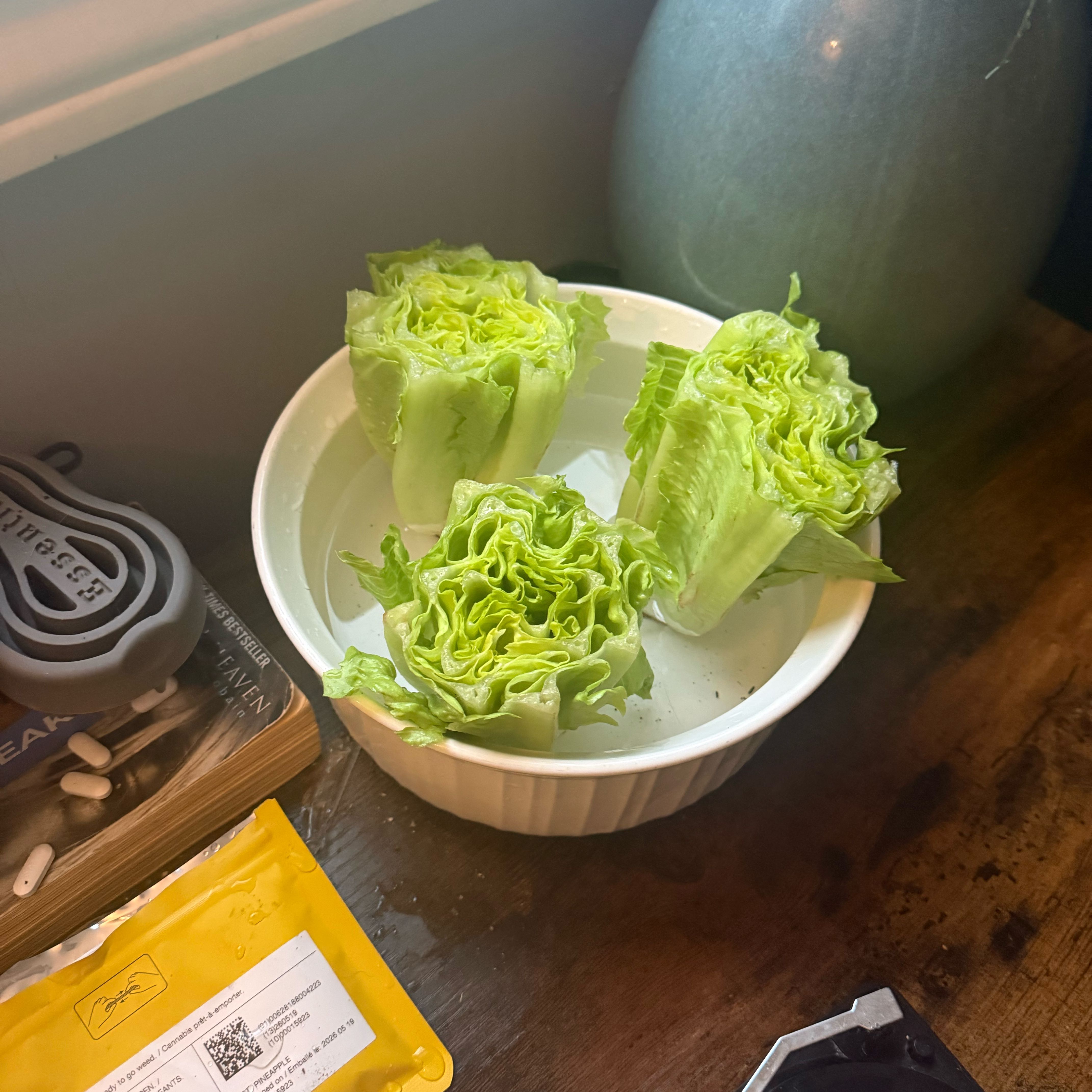 Photo of the plant species Leaf Lettuce by @EthicalPepino39 named Lola on Greg, the plant care app