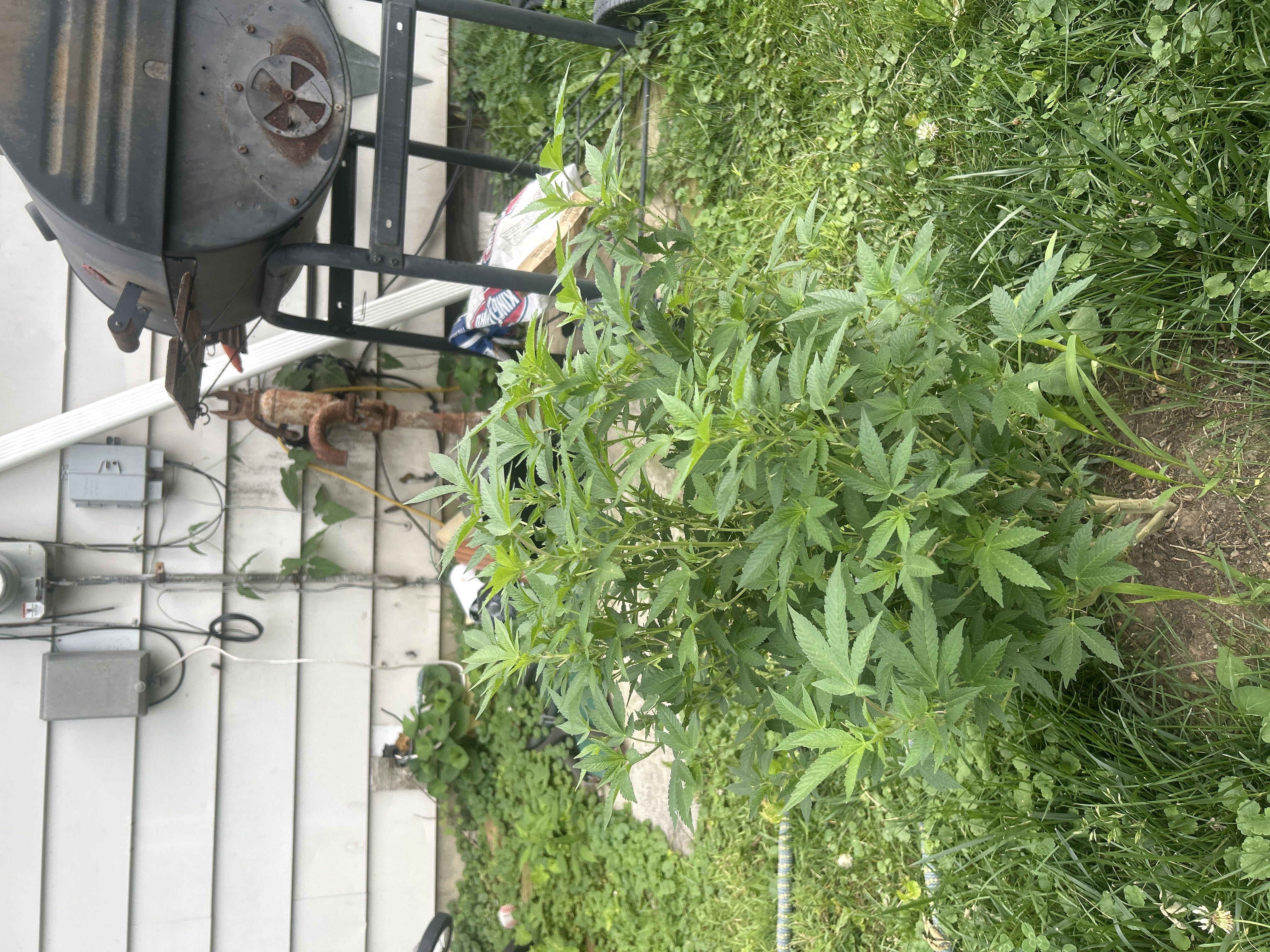 Photo from the post