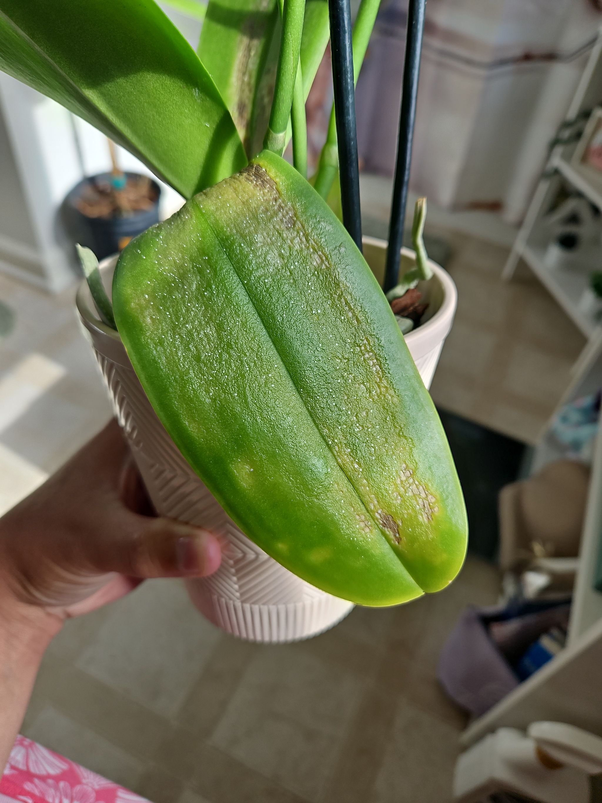 Photo from the post