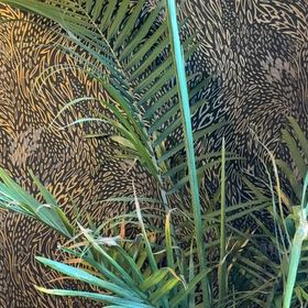 Photo of the plant species Canary Island Date Palm by @RestorativeBlue named Figyonce on Greg, the plant care app