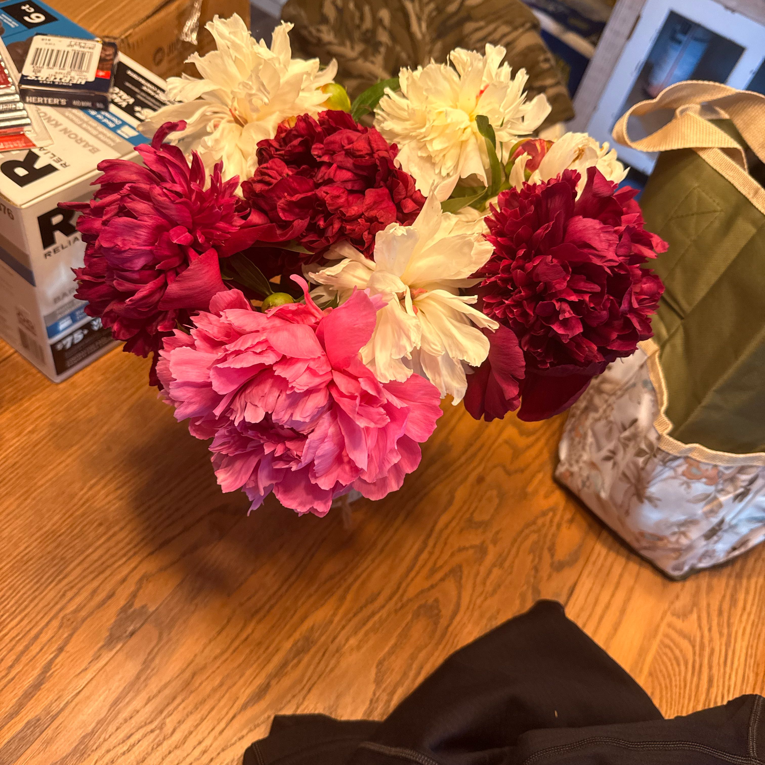 Photo of the plant species Chinese Peony by @TopBibi0 named Diana on Greg, the plant care app