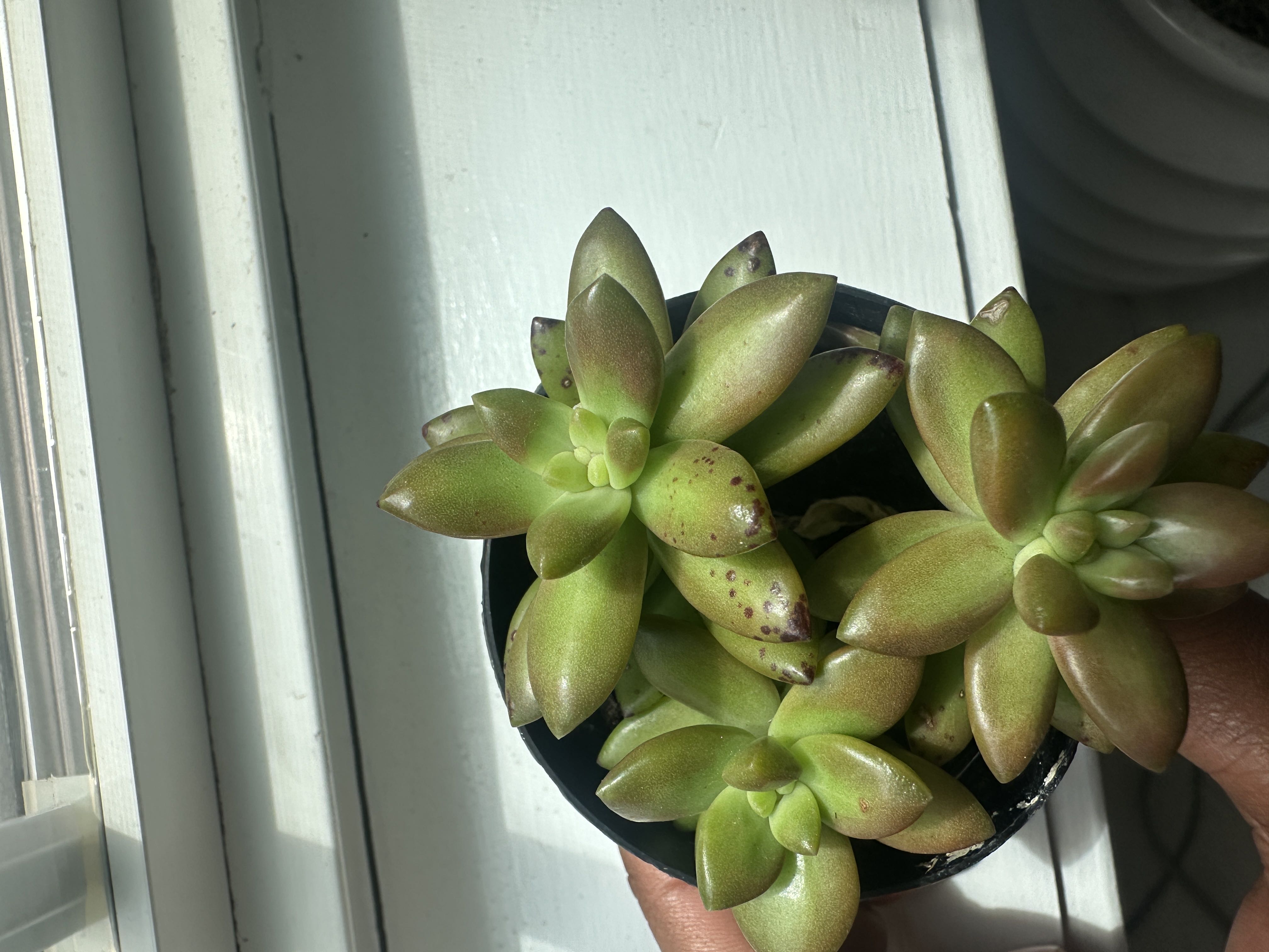 Photo from the post